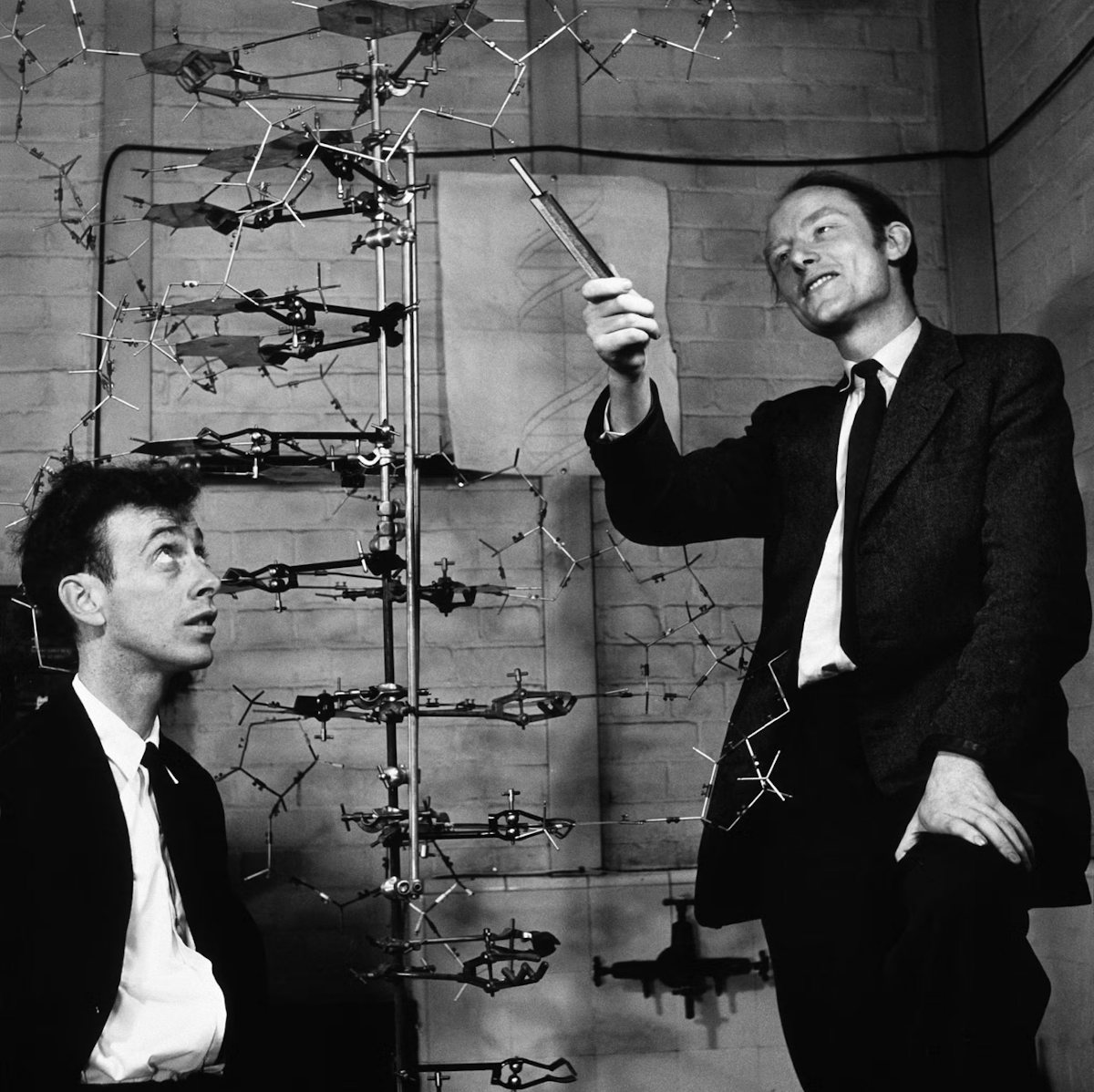 James Watson and Francis Crick — Science Learning Hub