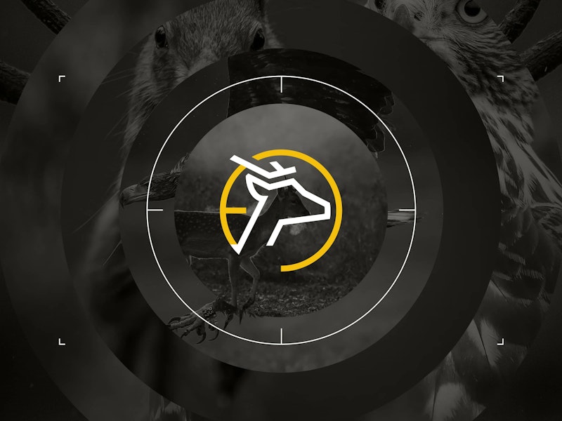 Photoscoper • Graphic Design