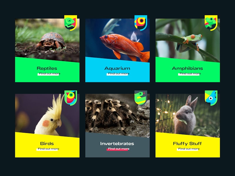 Urban Jungle Category Cards UI Design