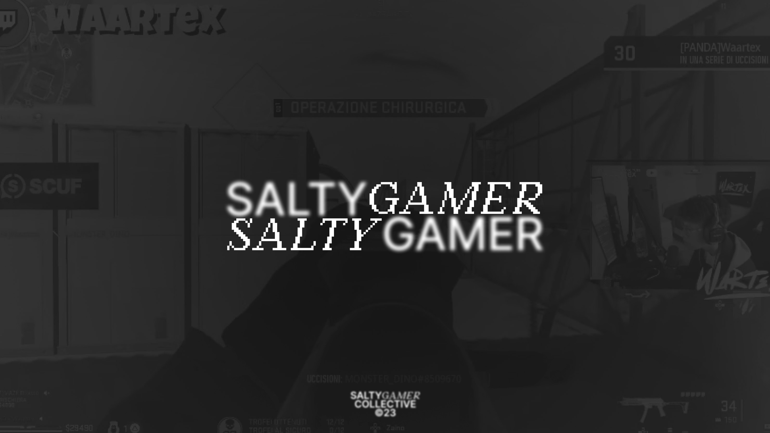 Salty Gamer • Brand Identity