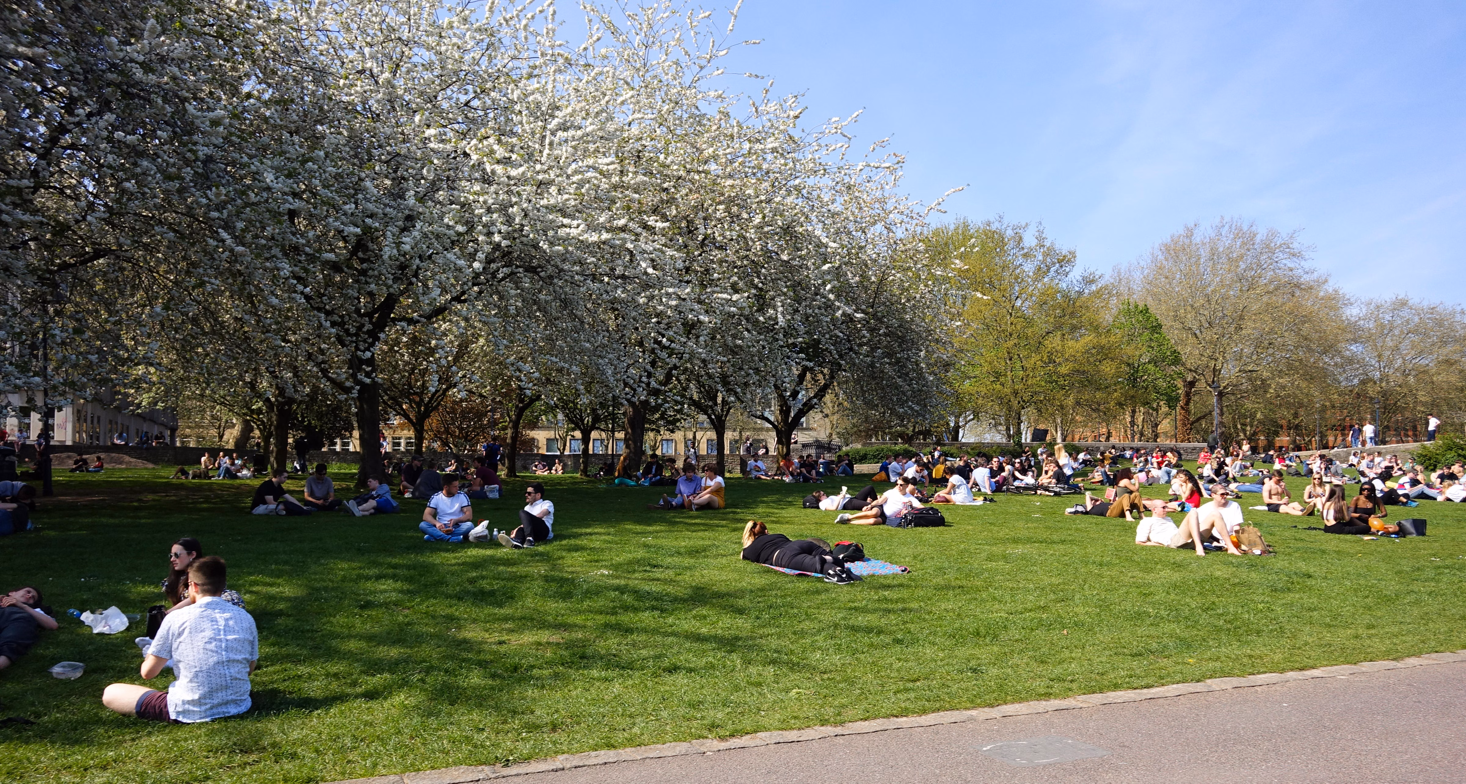 Castle Park