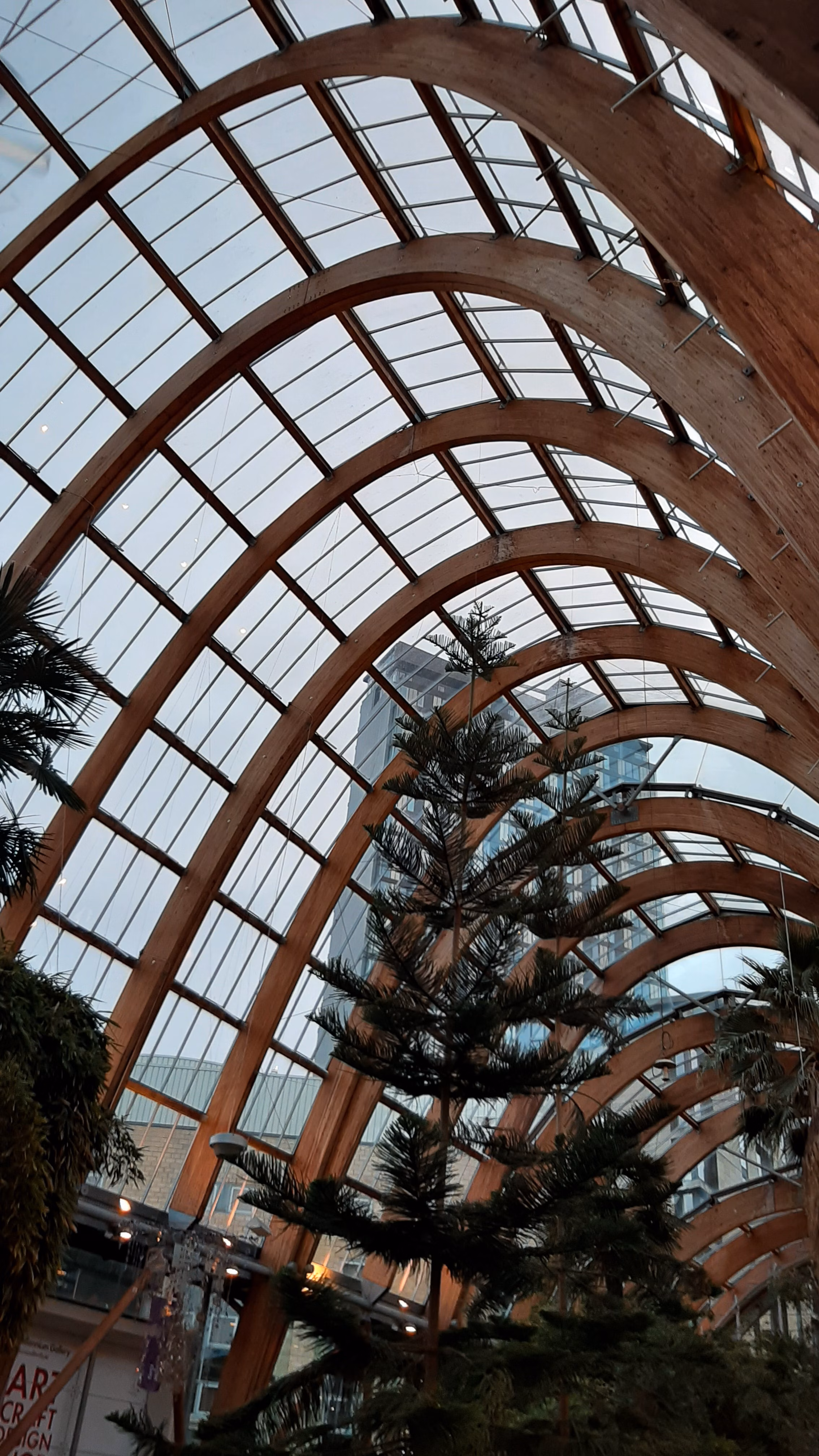 Sheffield Winter Gardens