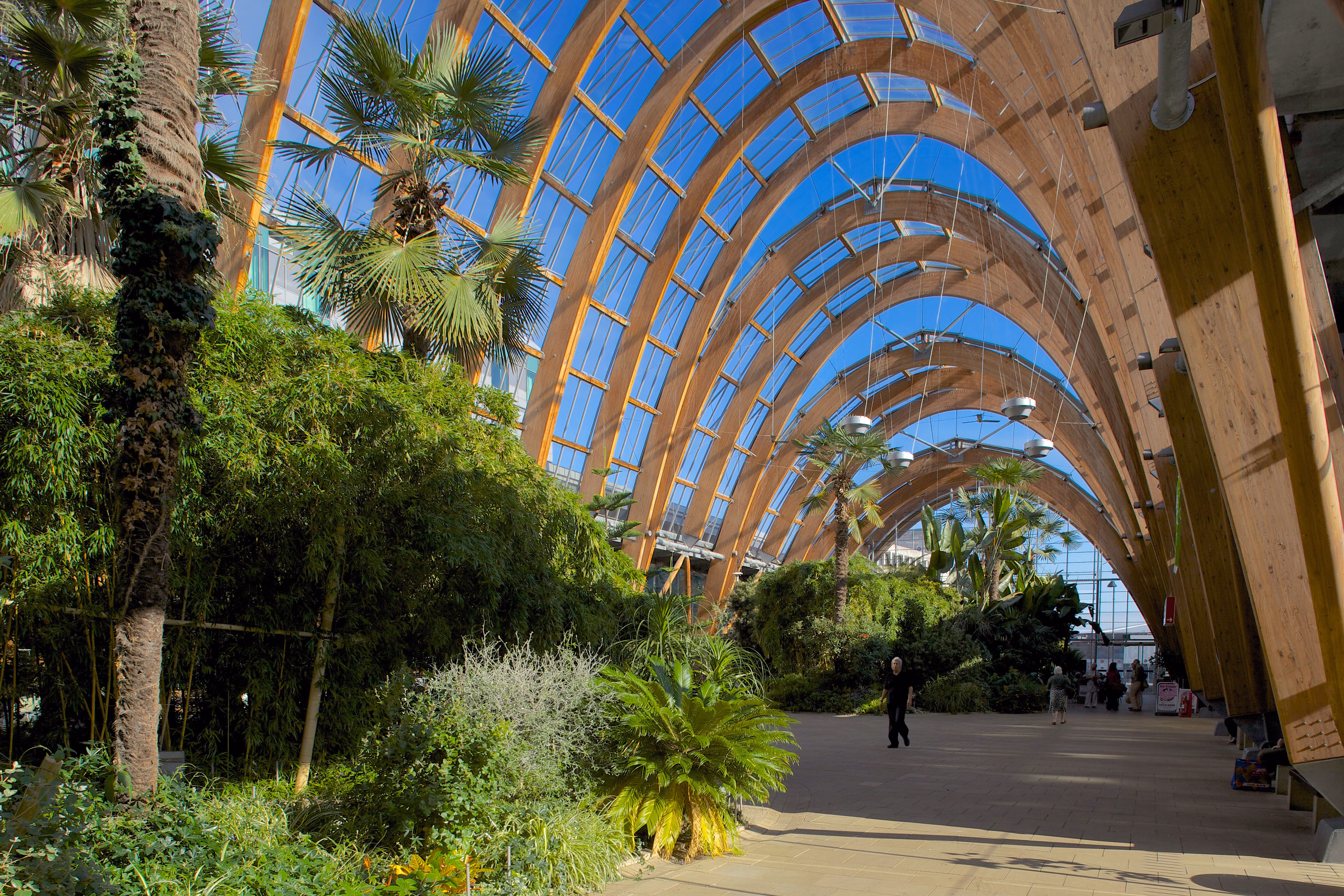 Sheffield Winter Gardens