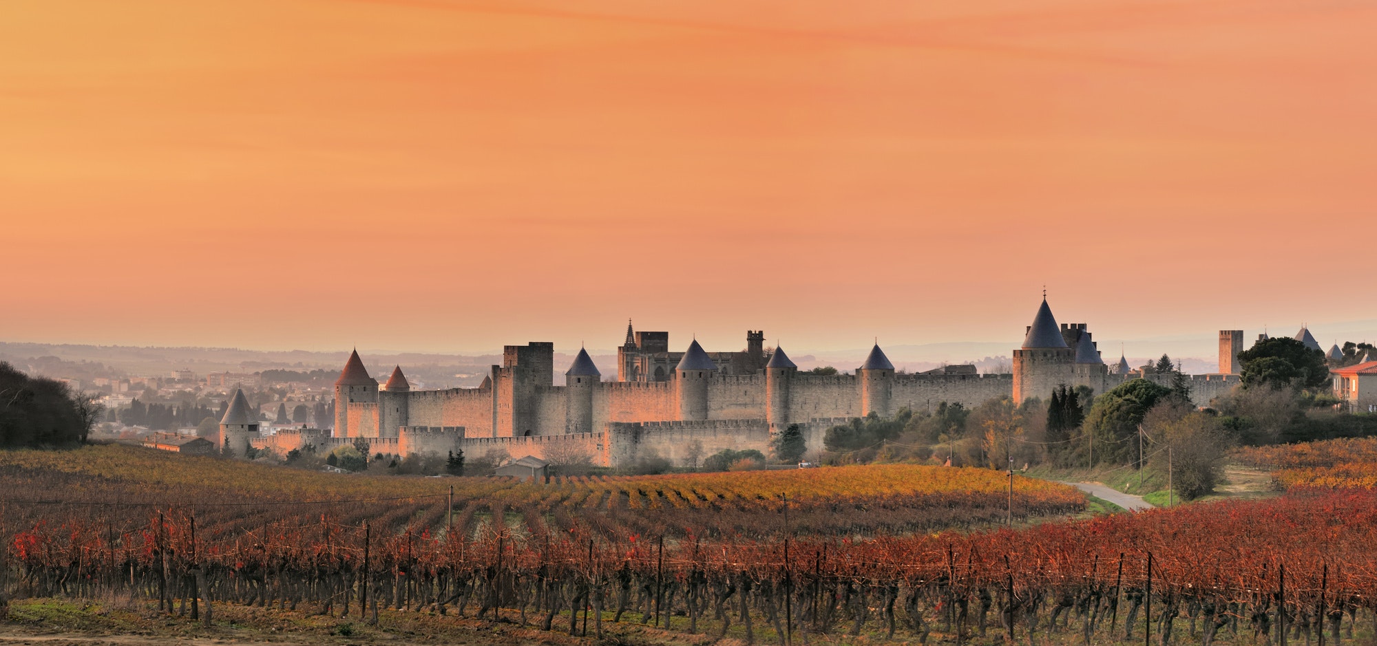 carcassonne, cité, chateau, construction, aude, france, soir, matin, soleil, automne, vigne, vignes, medievale, medieval, architecture, building, castle, fortress, nature, outdoors, scenery, countryside