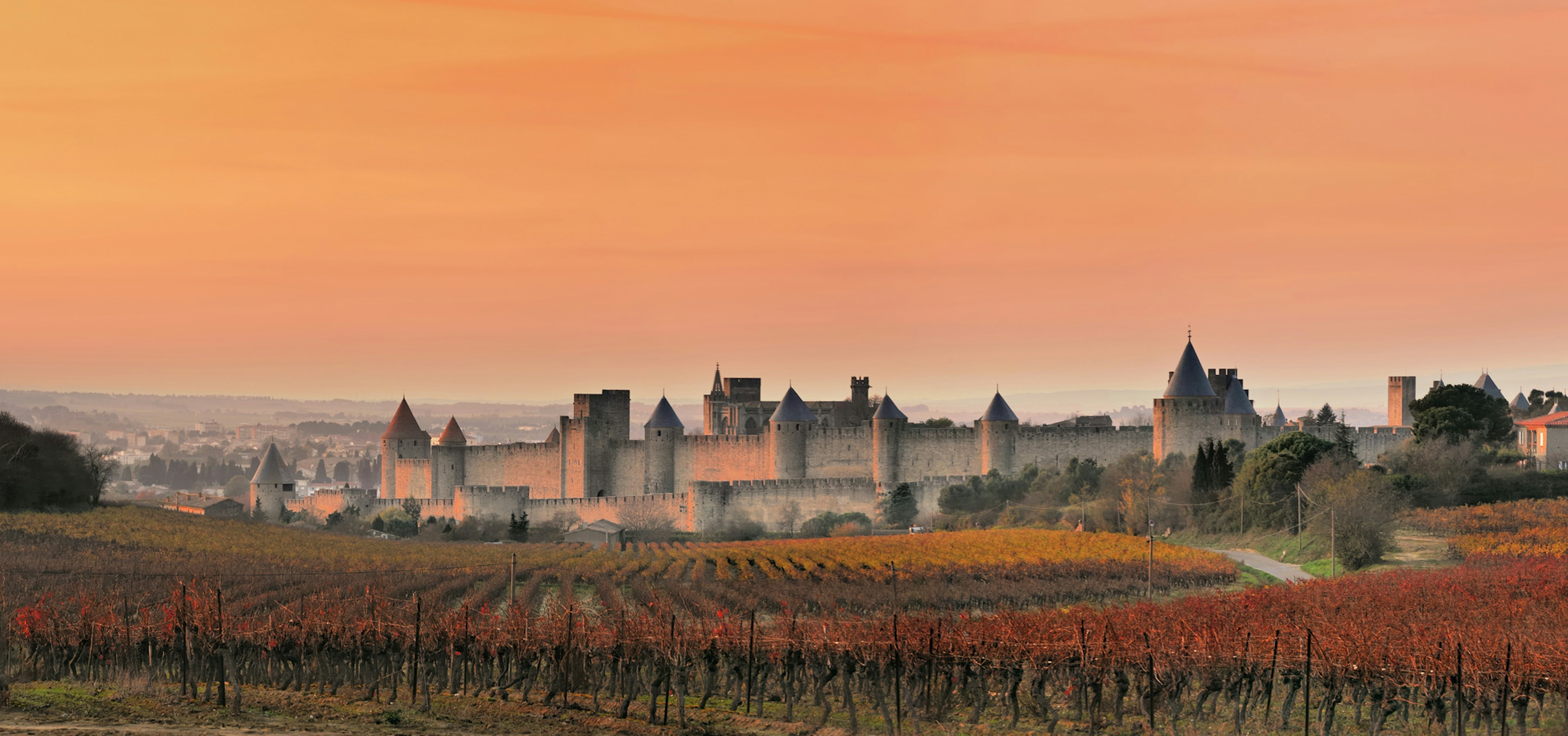 carcassonne, cité, chateau, construction, aude, france, soir, matin, soleil, automne, vigne, vignes, medievale, medieval, architecture, building, castle, fortress, nature, outdoors, scenery, countryside