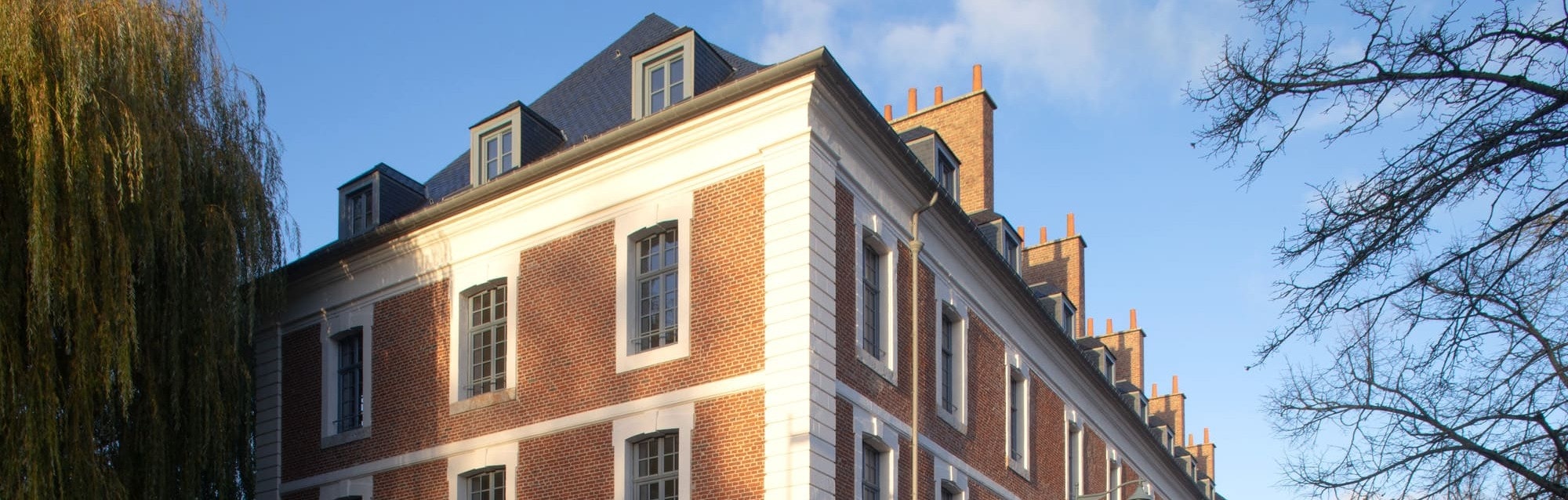 city, apartment building, building, high rise, urban, condo, housing, neighborhood, office building, tree