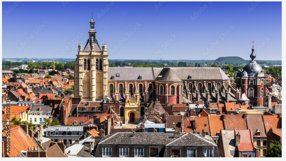 city, house, housing, roof, tower, urban, clock tower, metropolis, neighborhood, spire