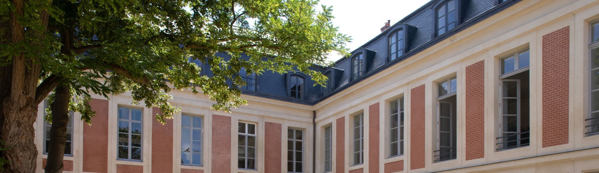 city, building, condo, housing, urban, neighborhood, apartment building, high rise, tree, window