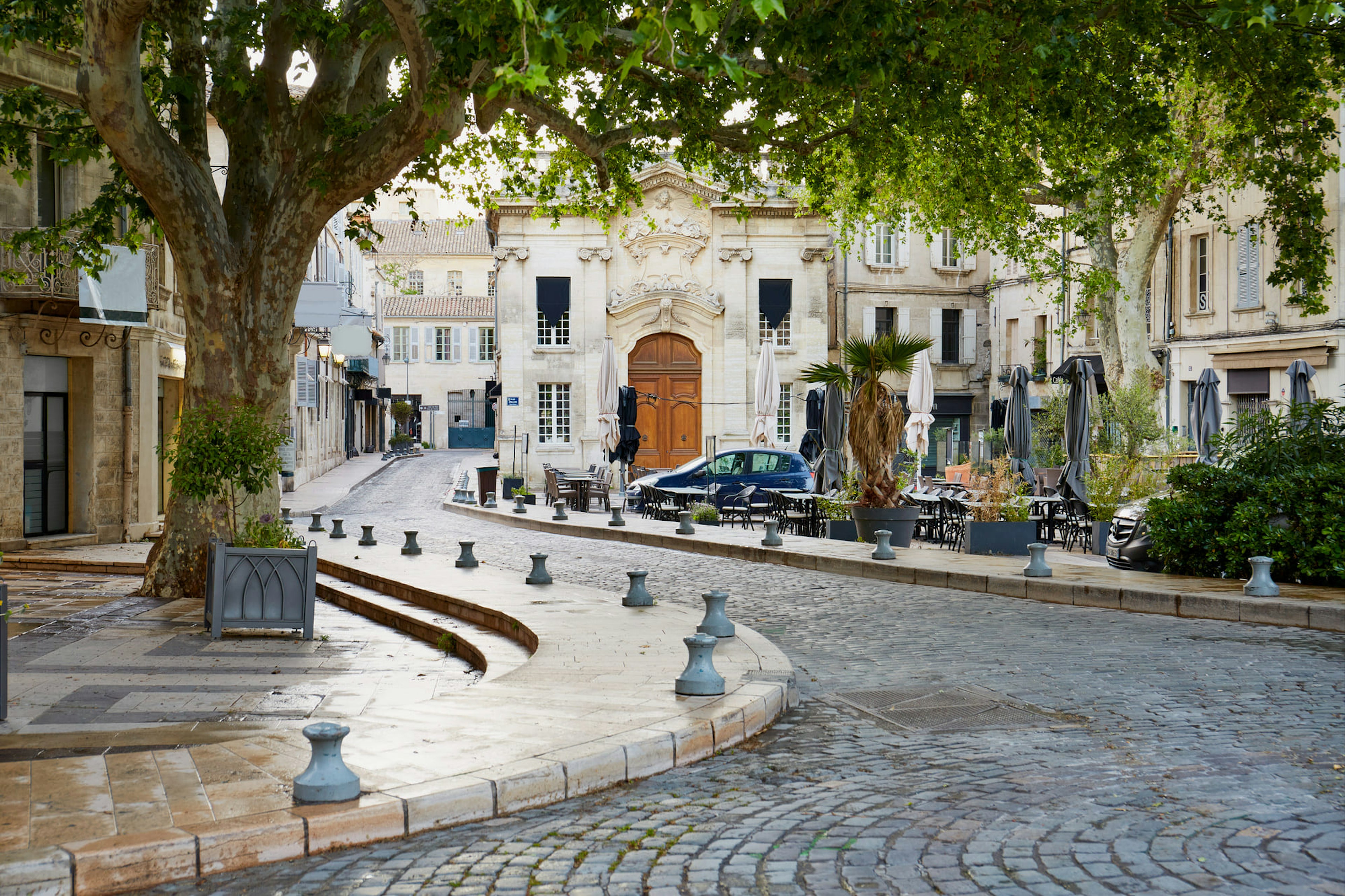 path, walkway, sidewalk, road, flagstone, city, street, urban, cobblestone, tree