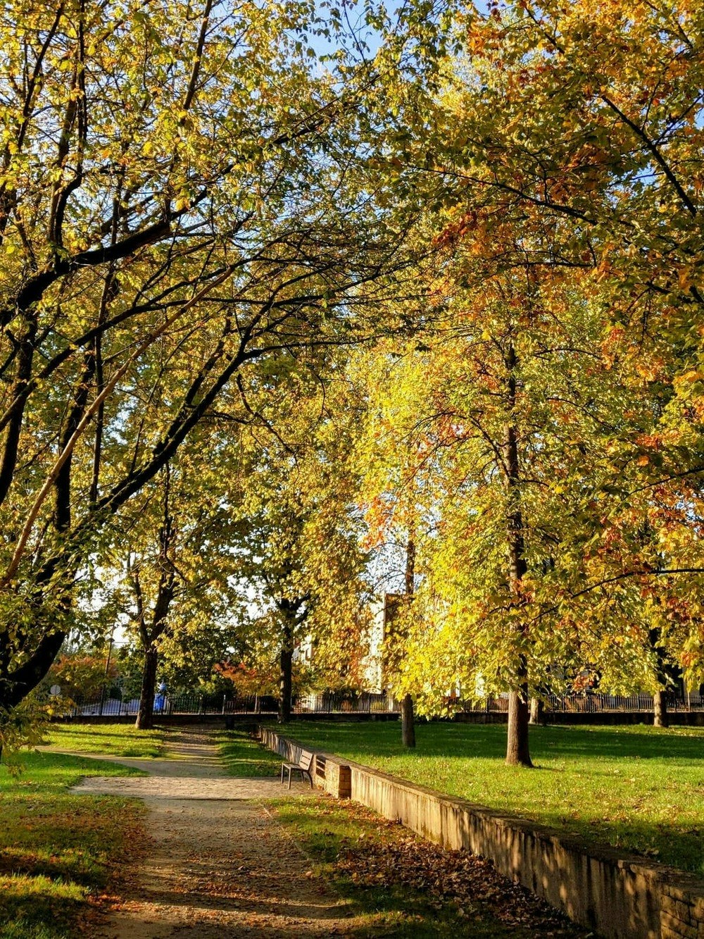 autumn, bench, furniture, person