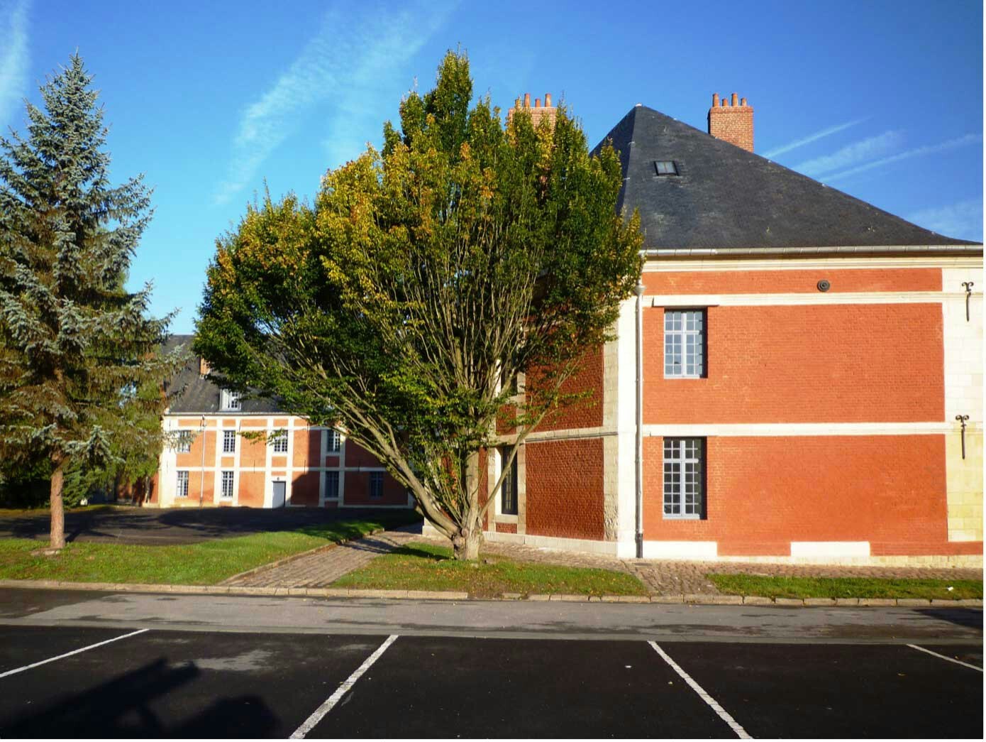 city, road, street, urban, plant, tree, neighborhood, building, suburb, grass