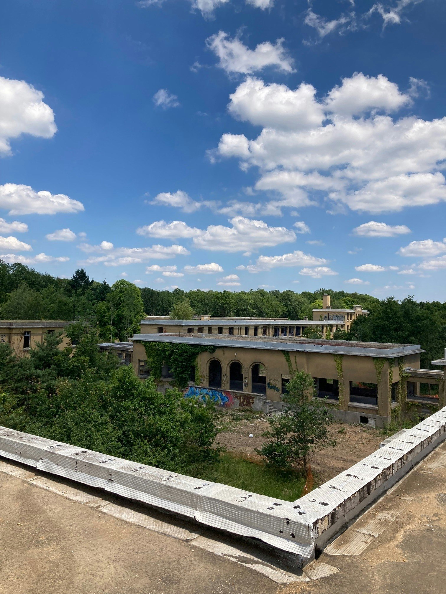 nature, outdoors, sky, cloud, cumulus, weather, plant, vegetation, scenery