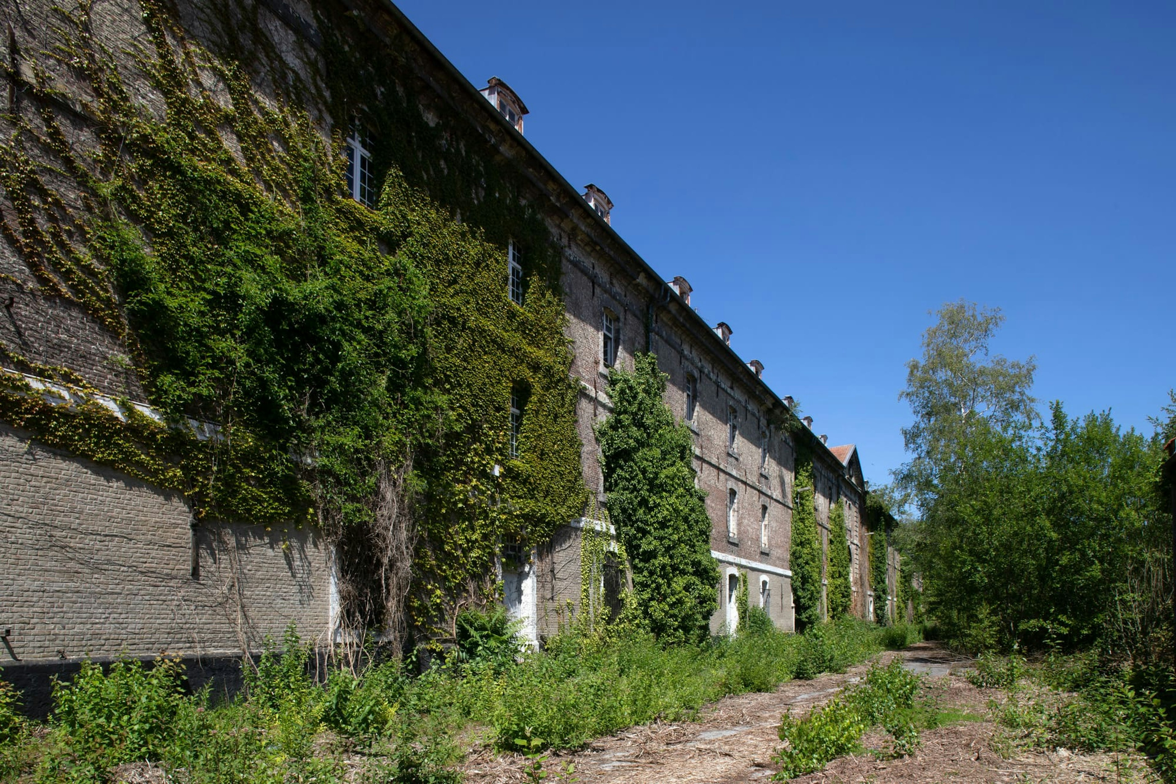 building, monastery, nature, outdoors, countryside, cottage, housing, rural, tree, person