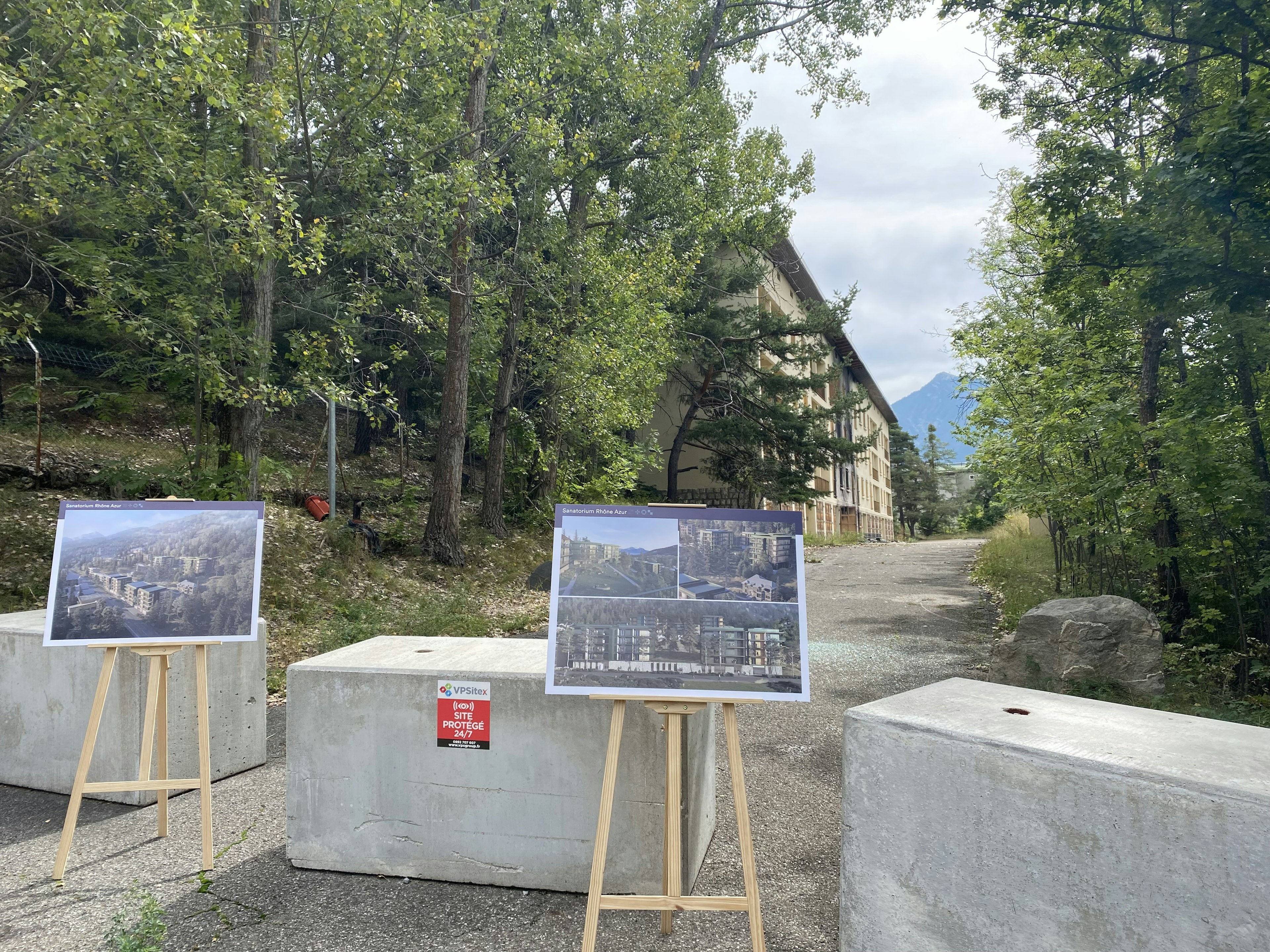 path, tree, grove, outdoors, vegetation, woodland, scenery, shelter, wood, sycamore