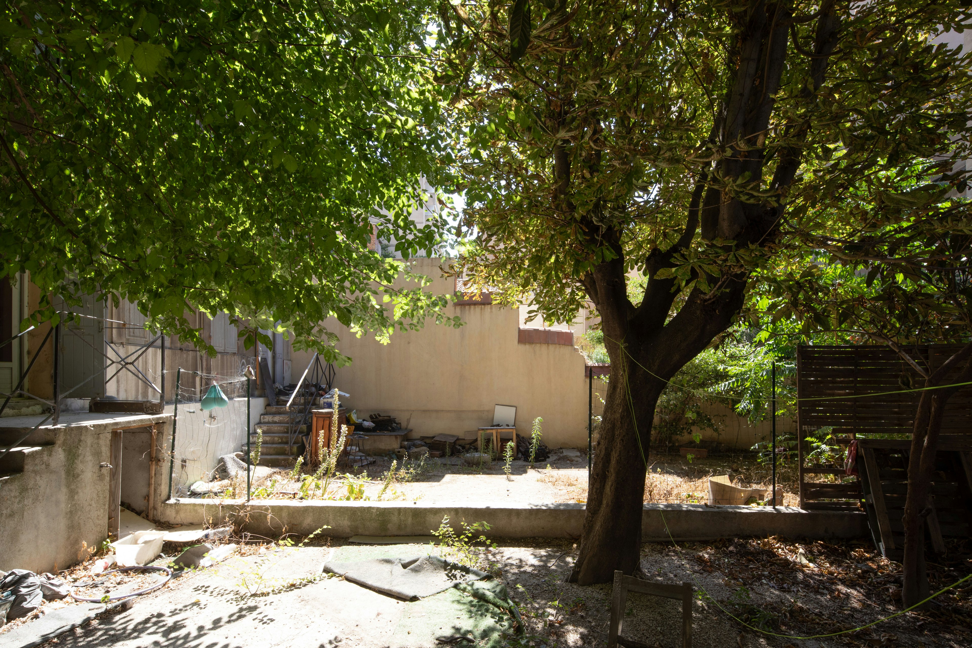 plant, tree, tree trunk, garden, nature, outdoors, backyard, yard, arbour, wood