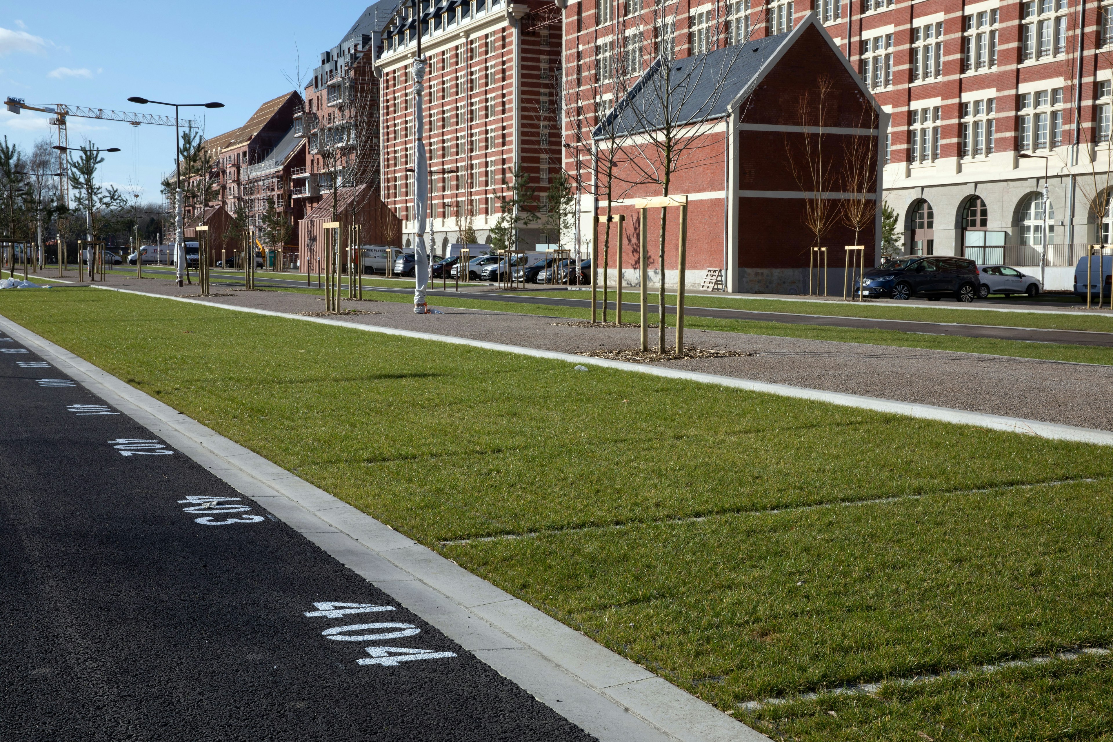grass, plant, city, car, vehicle, street, urban, construction, construction crane, sidewalk