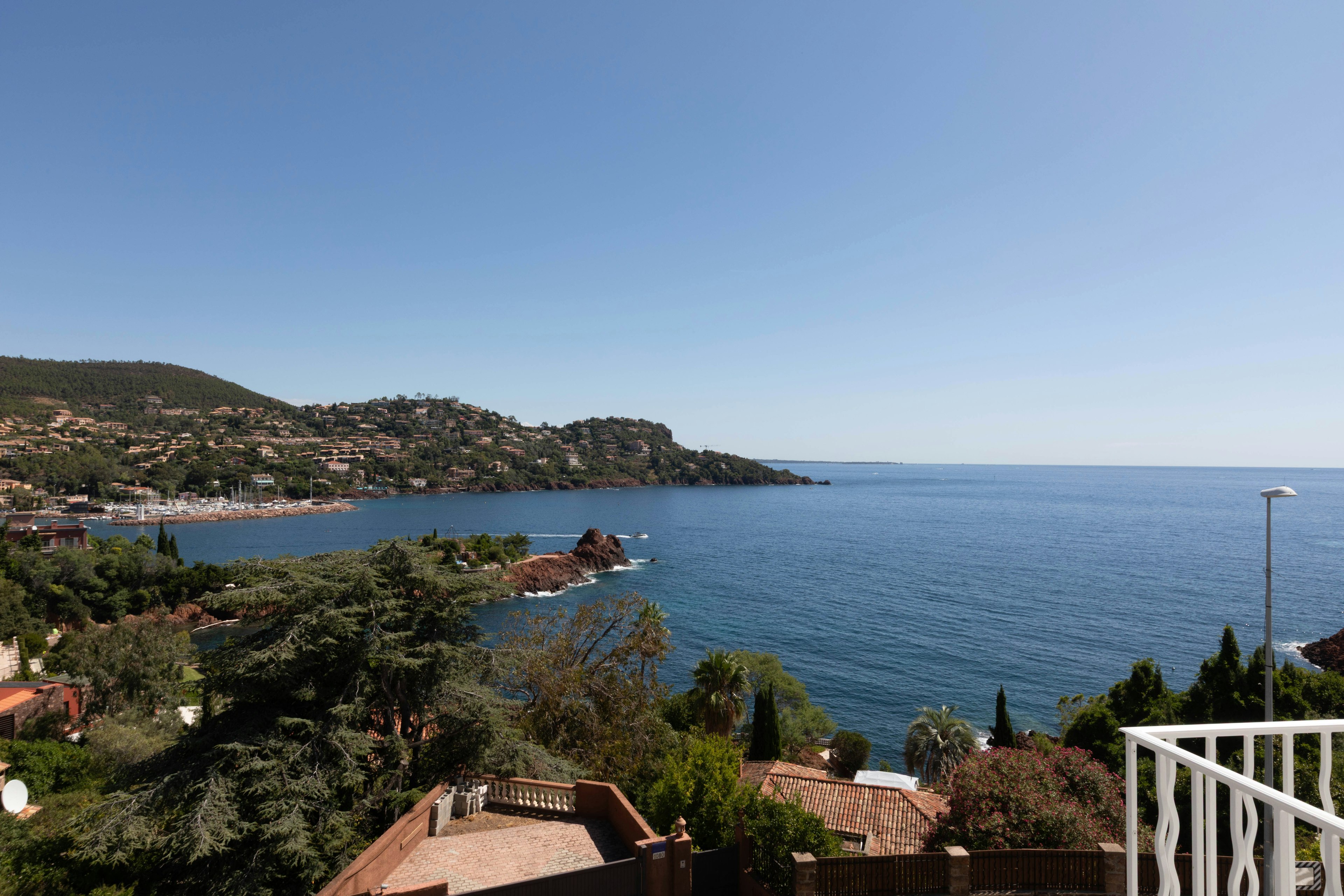 nature, outdoors, scenery, sea, water, canine, dog, mammal, pet, shoreline