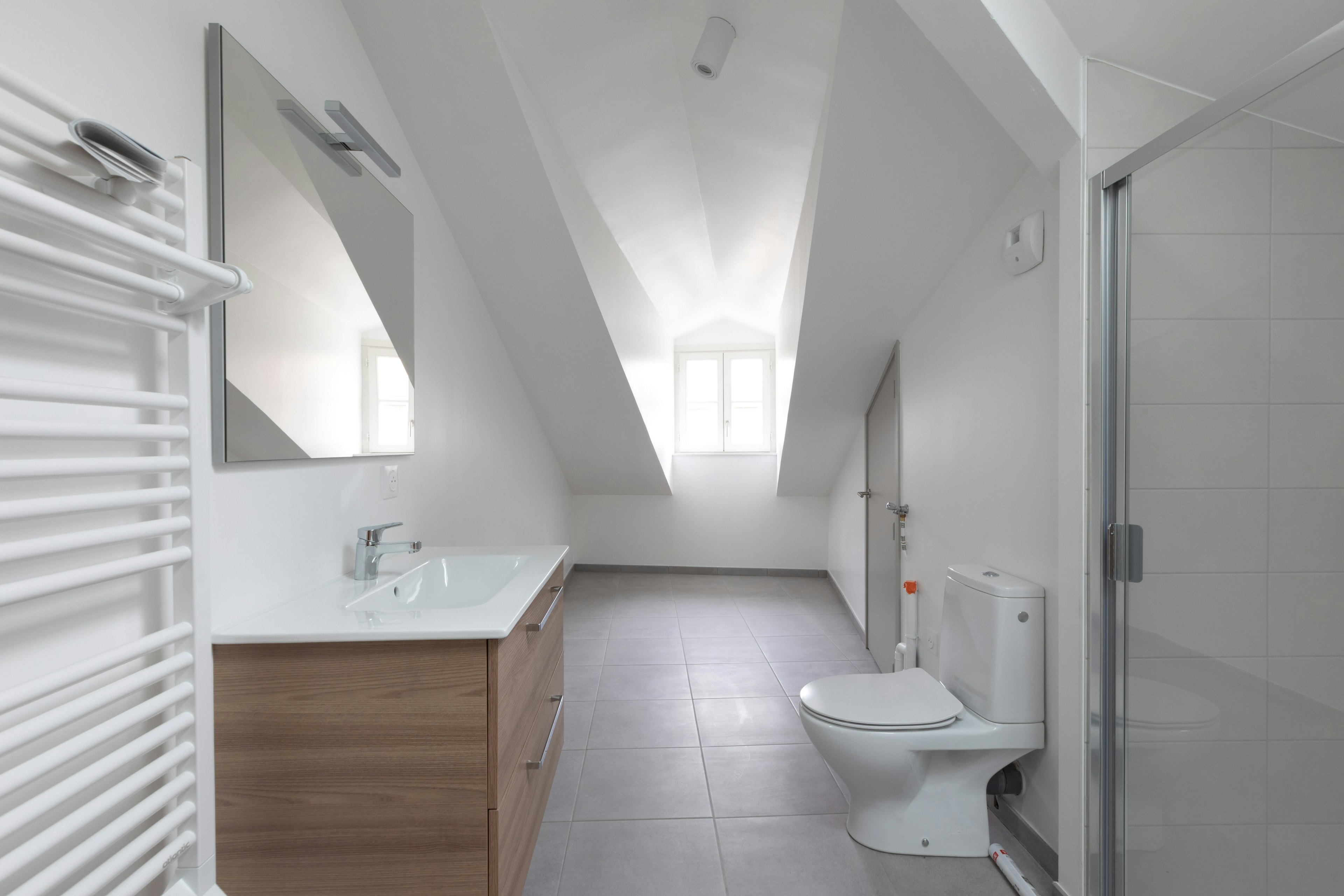 architecture, building, house, housing, indoors, loft, room, bathroom, toilet, bathing