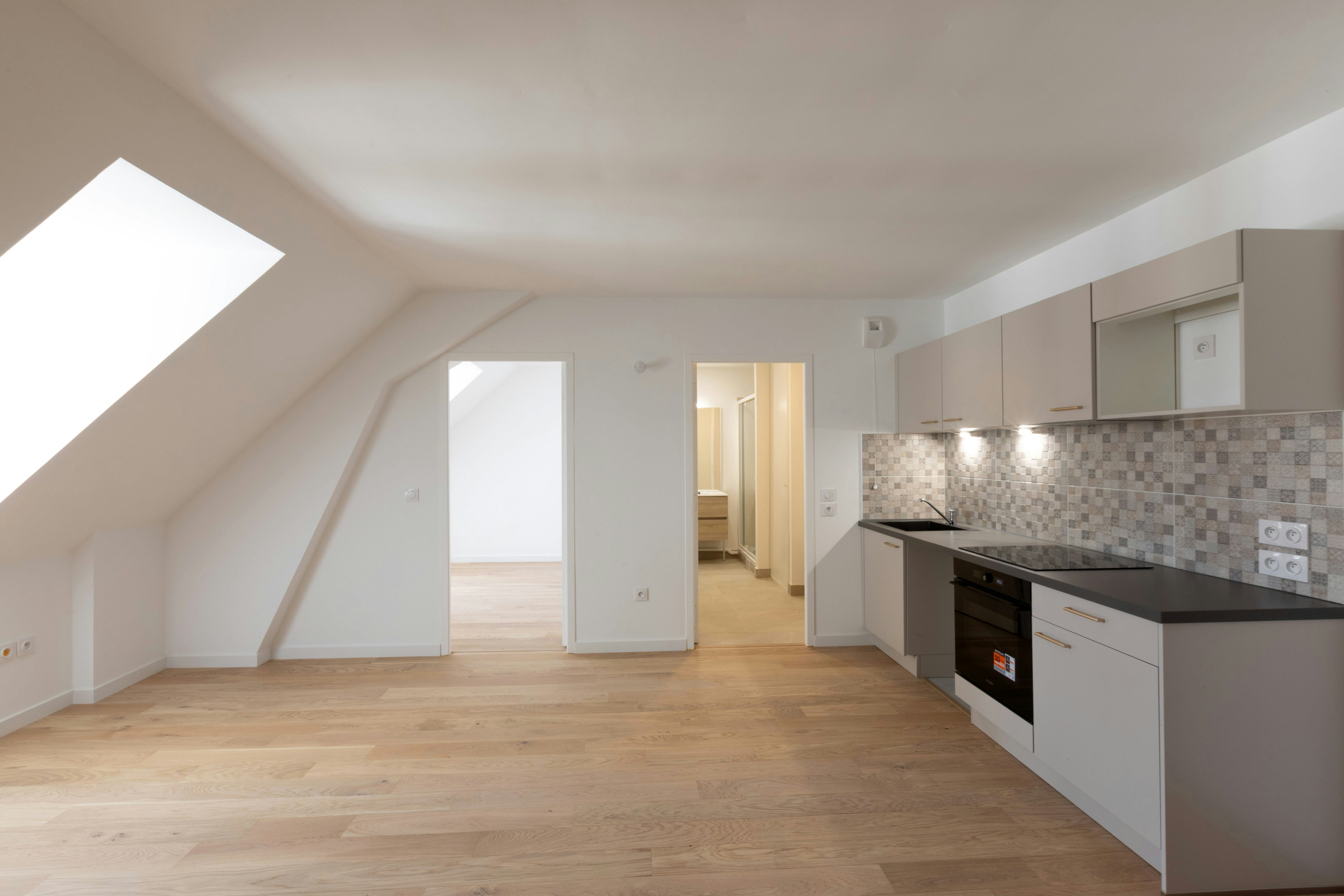 building, house, housing, indoors, loft, room, interior design, penthouse, attic, kitchen