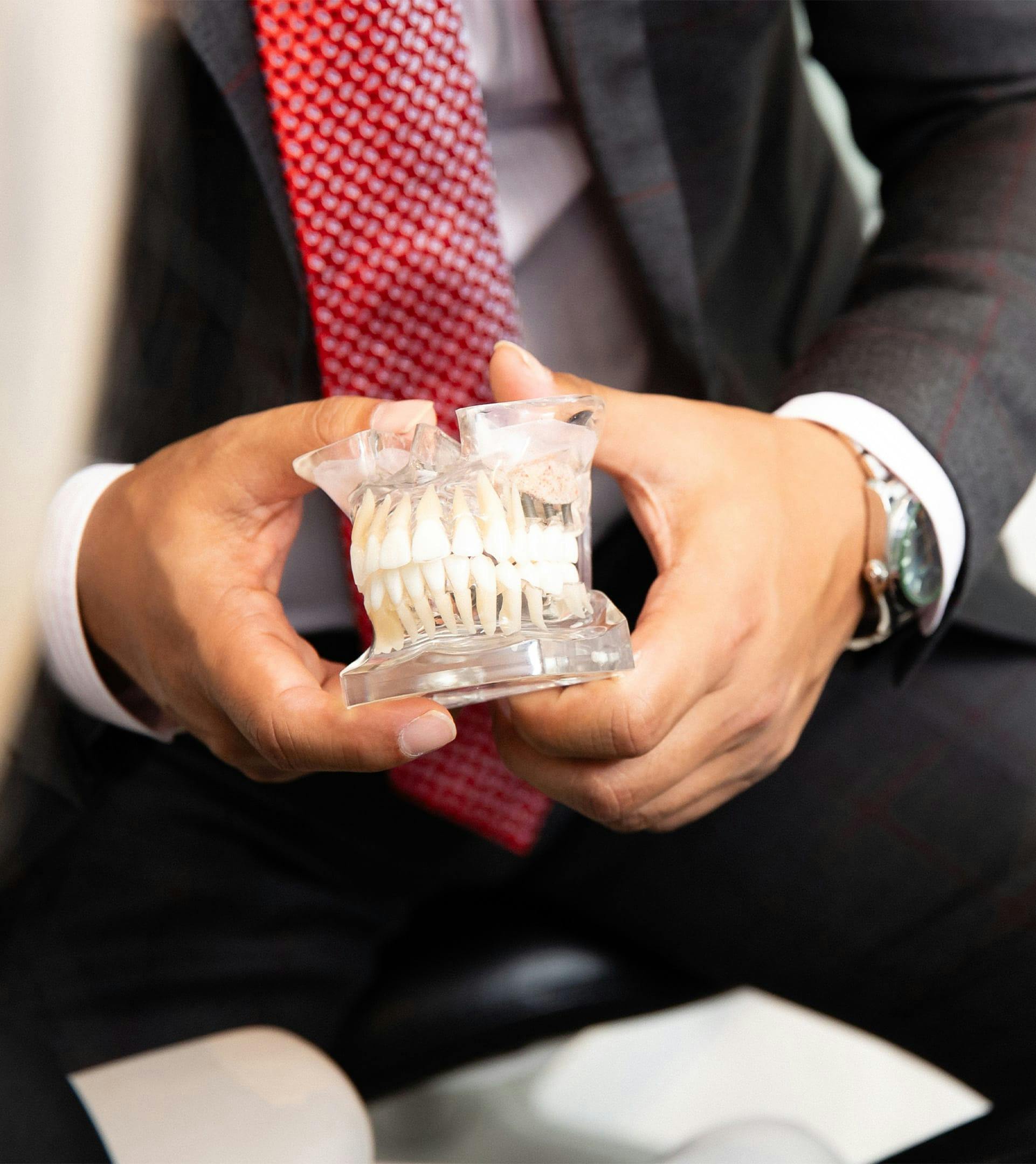 doctor holding example teeth