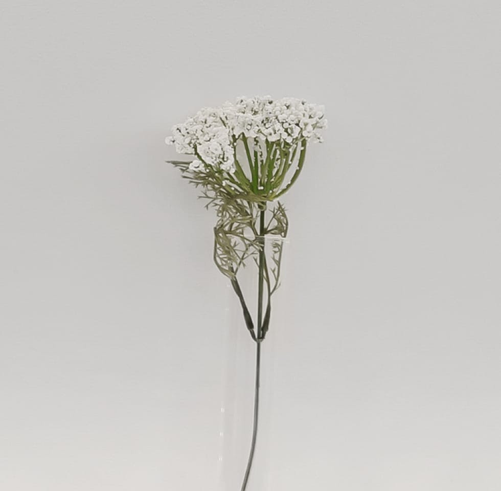 baby's breath buds