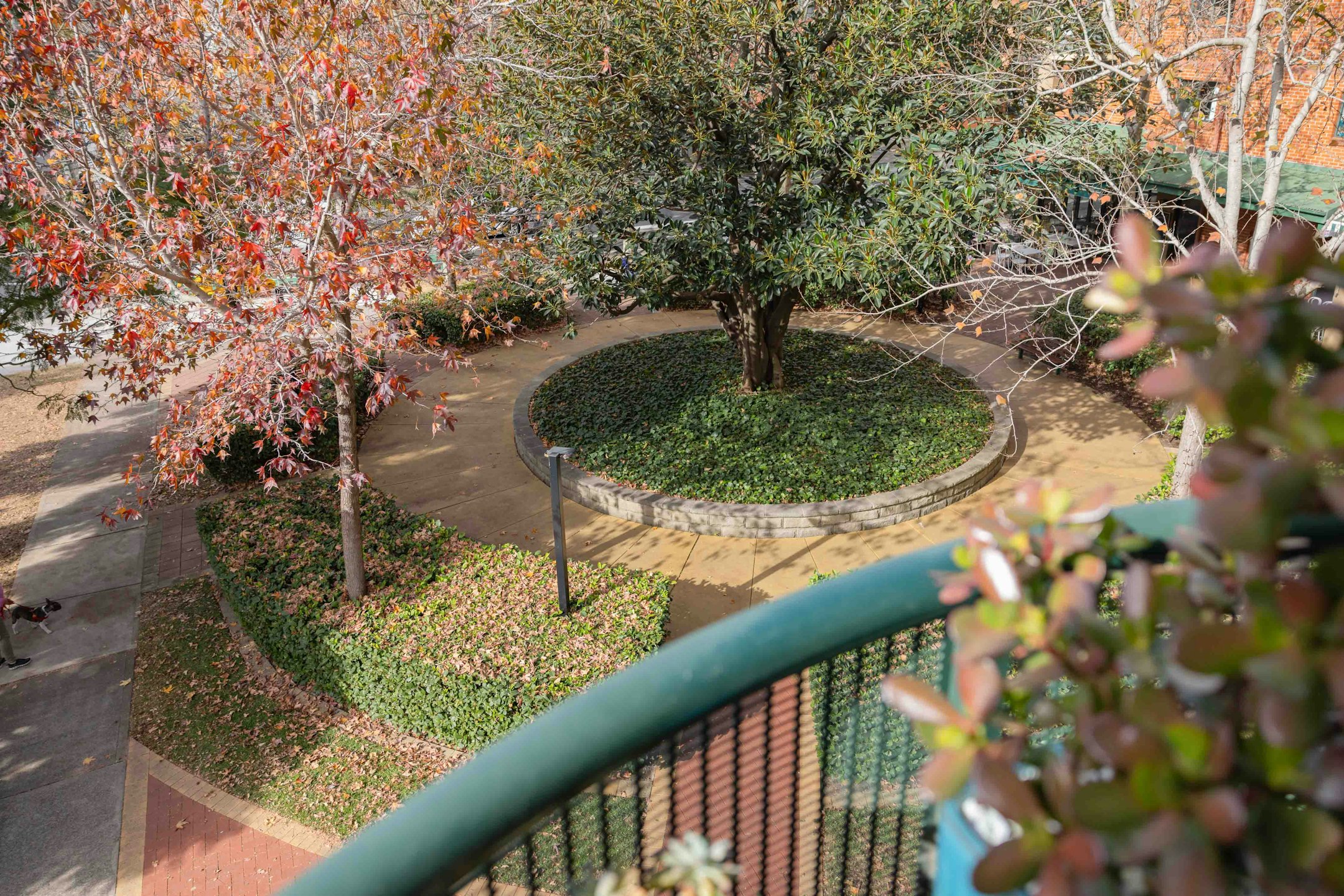 garden