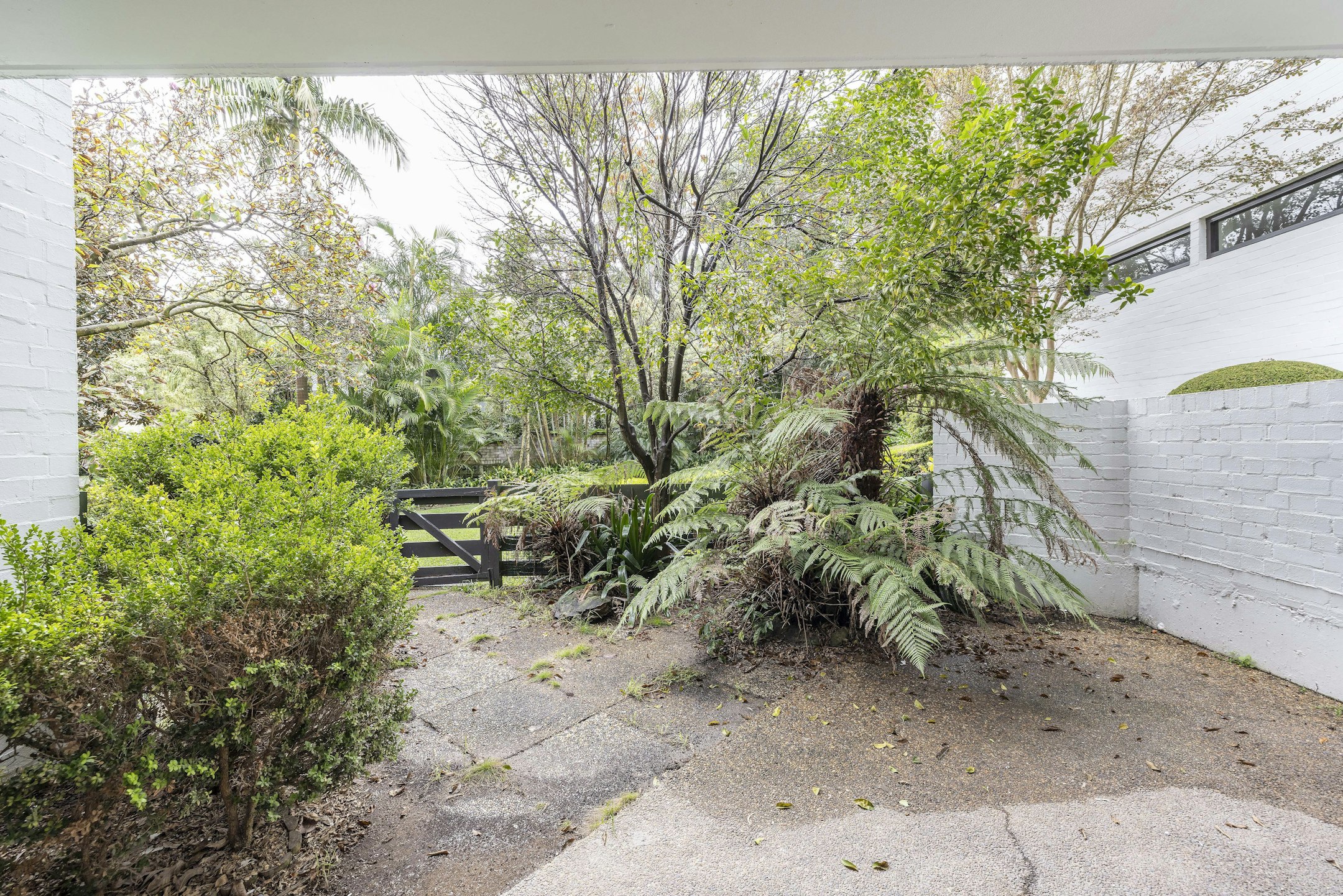 garden