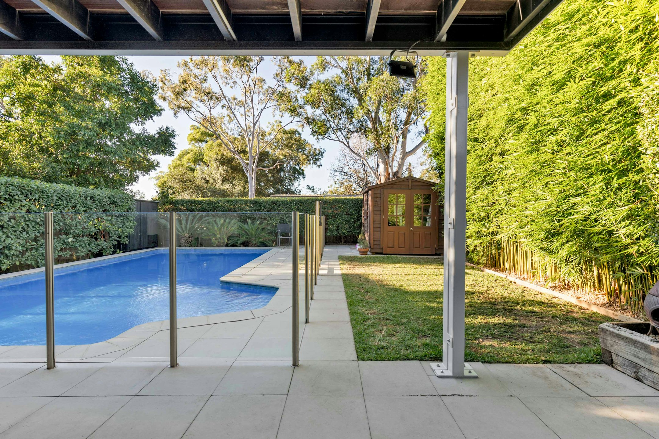 backyard