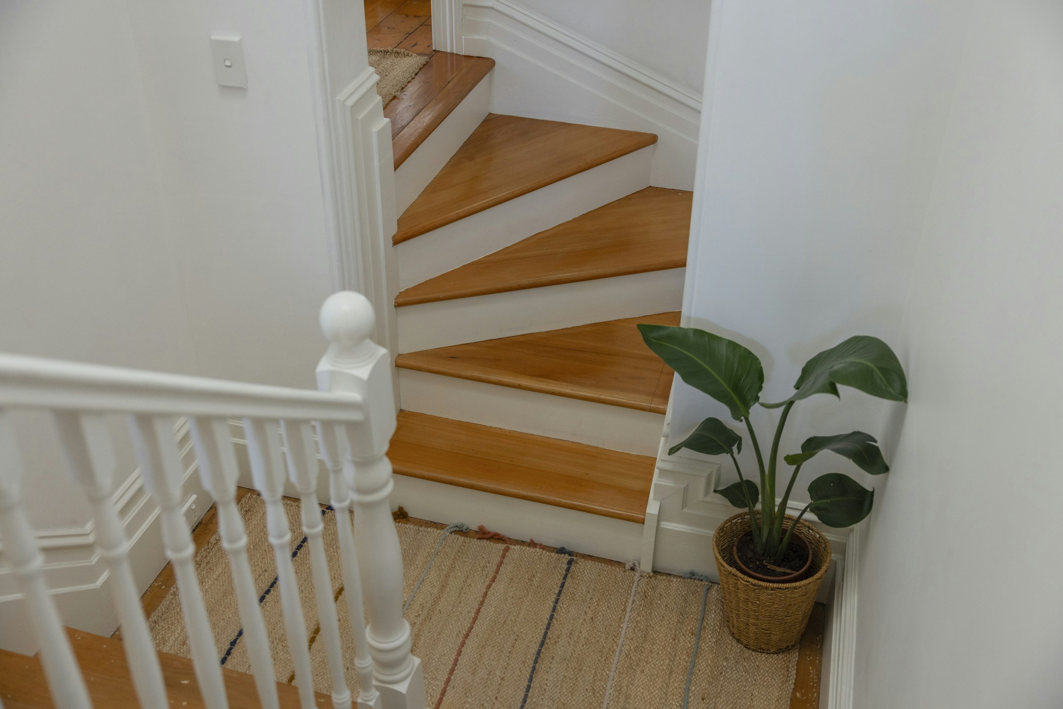hardwood