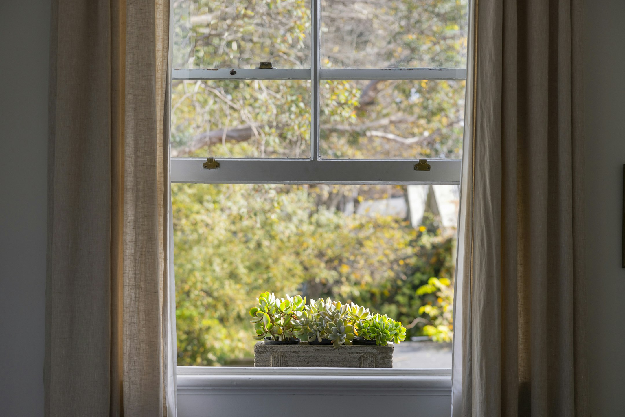 window