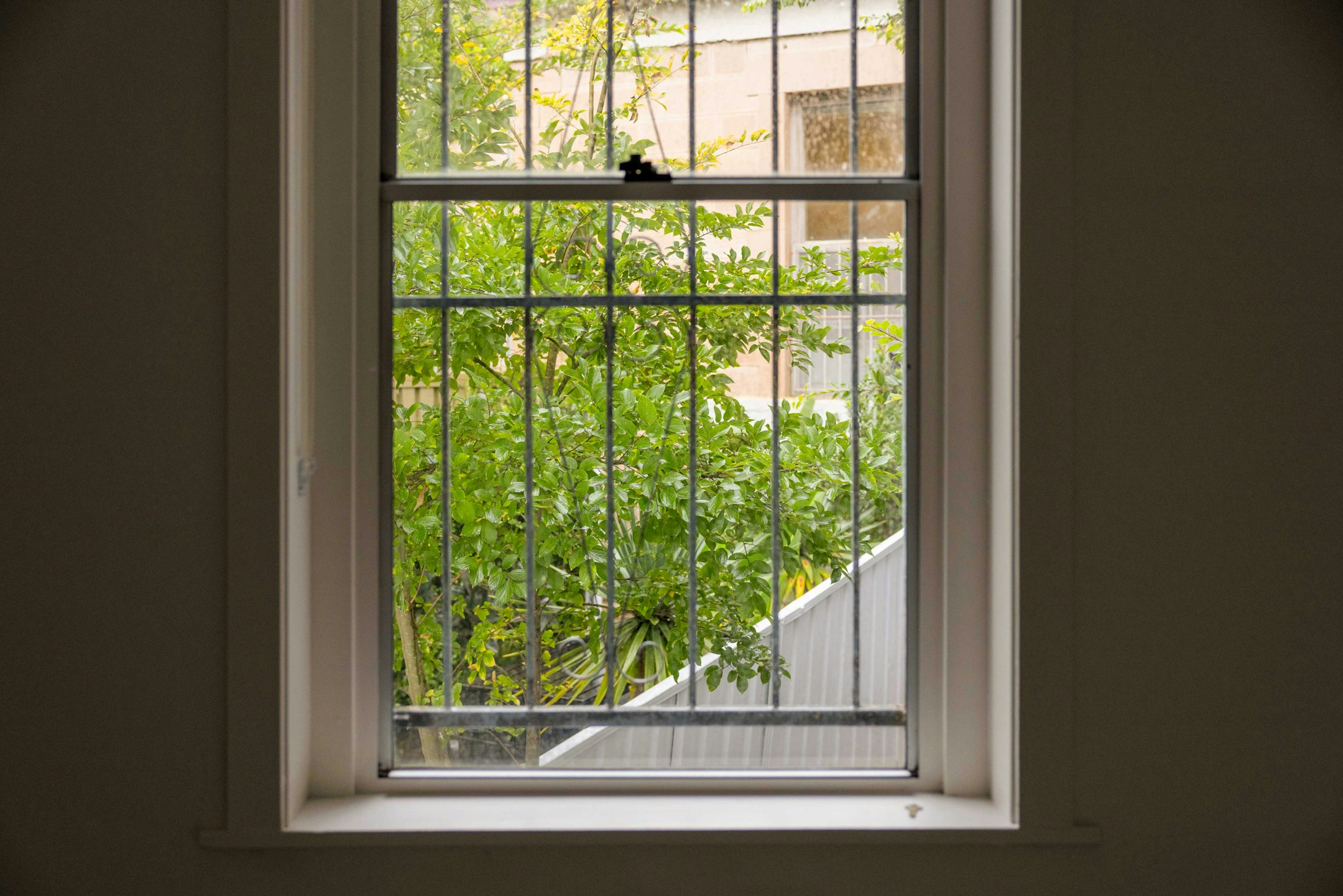 window