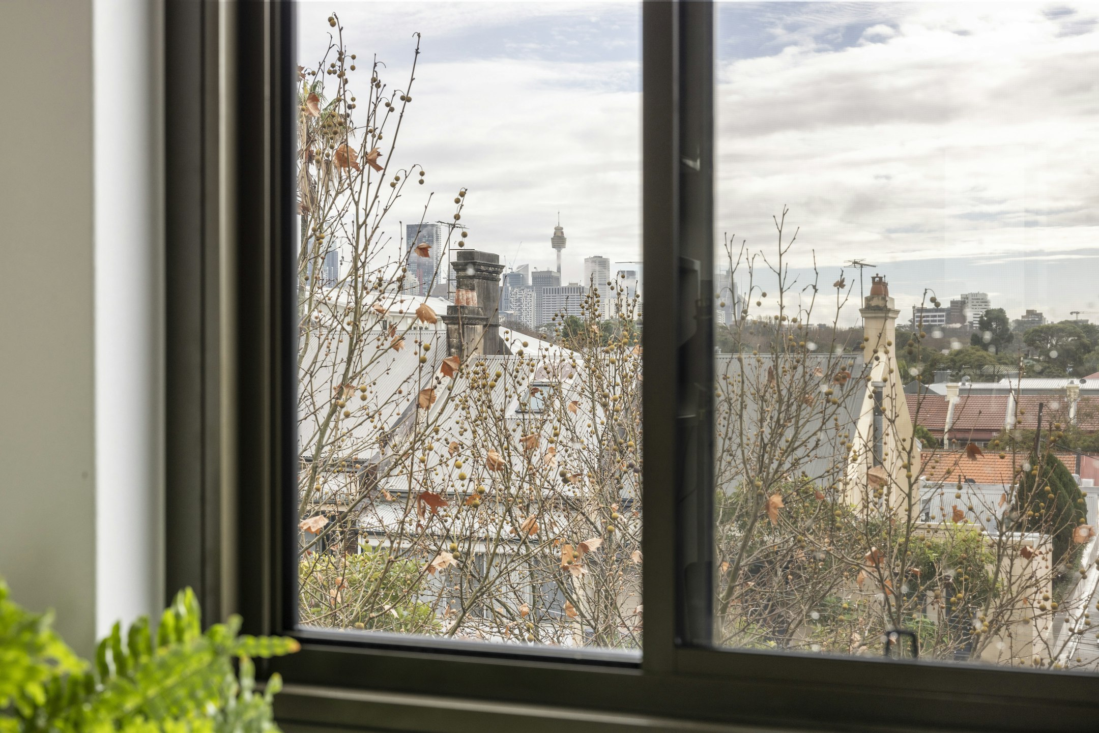window