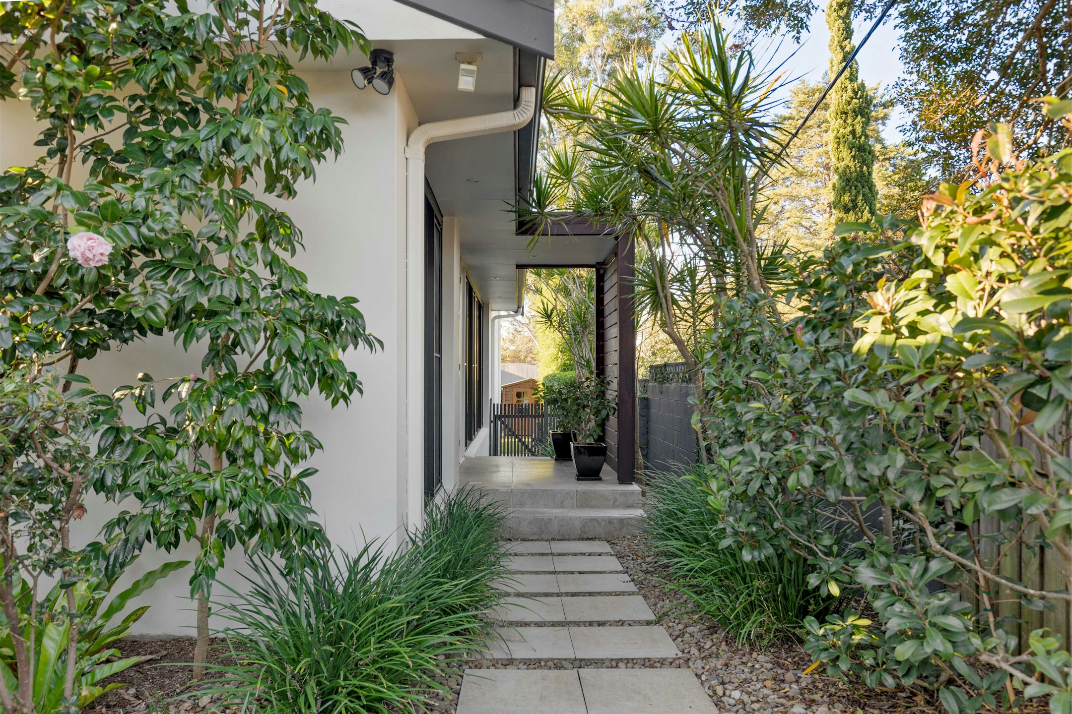 garden