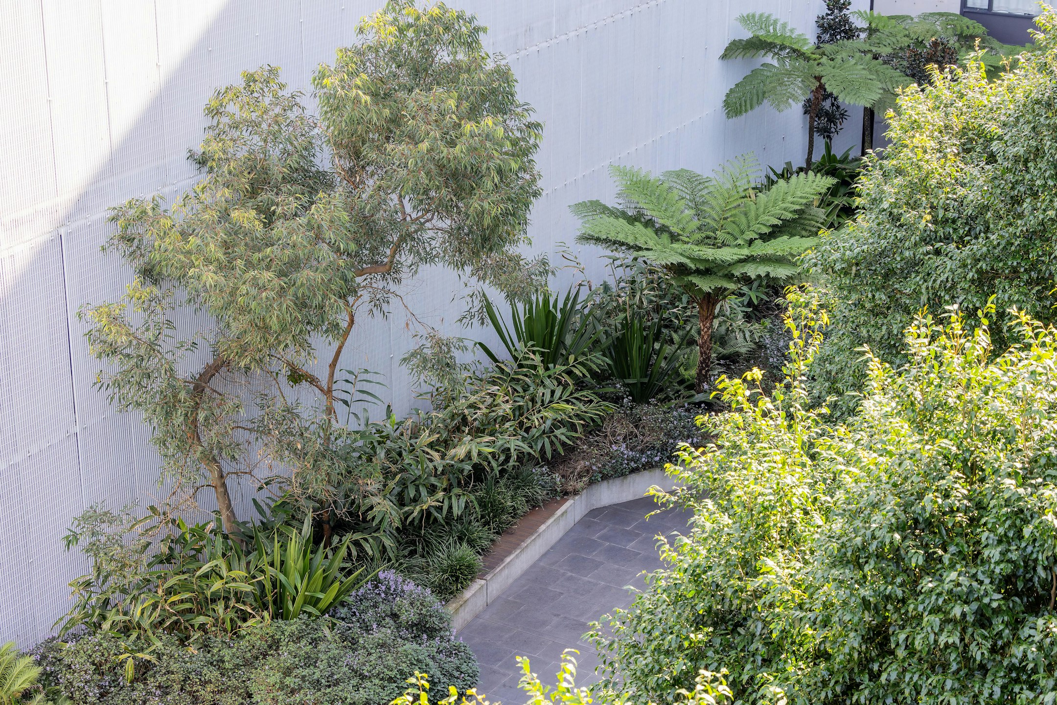 garden