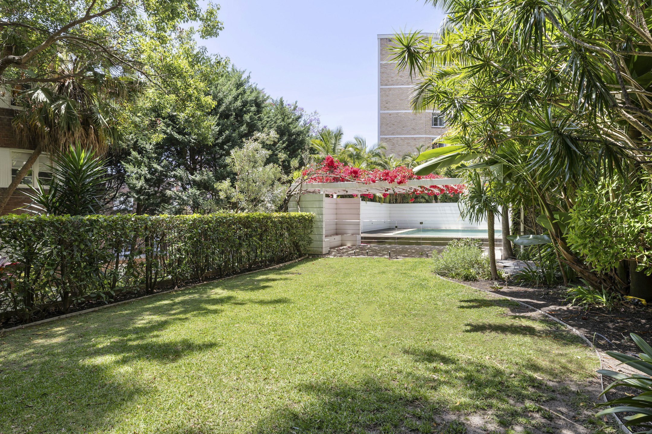 garden