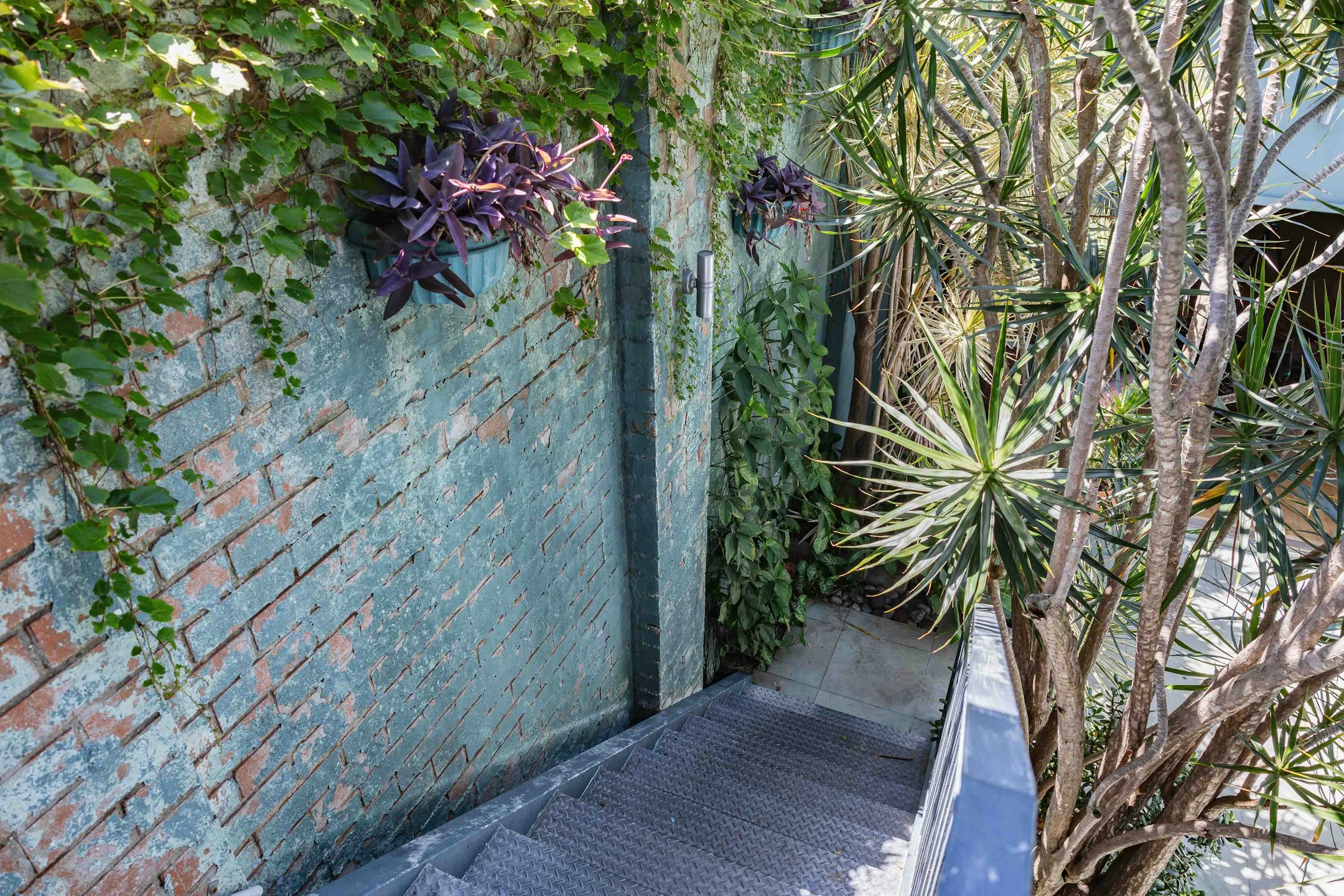 garden