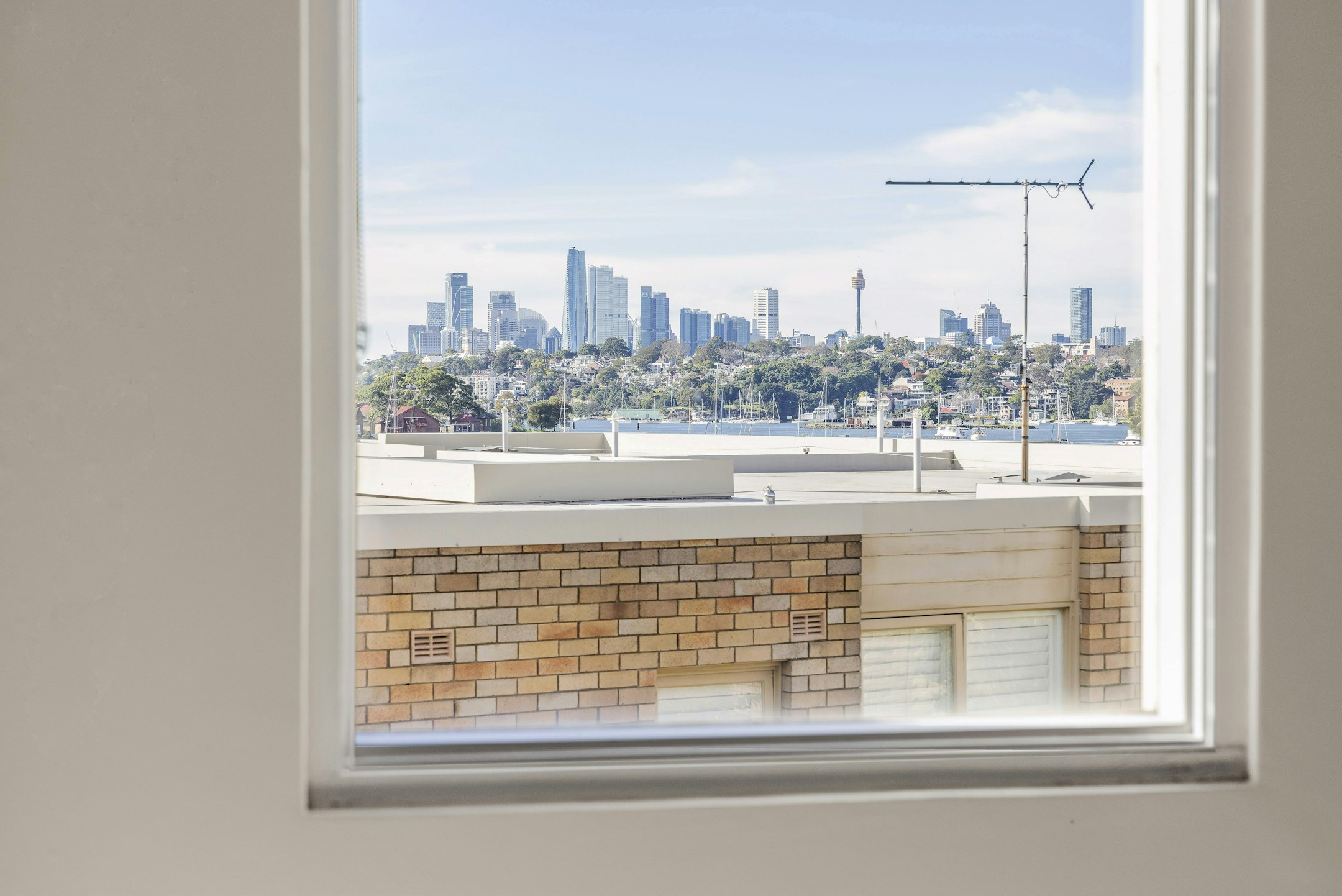 window