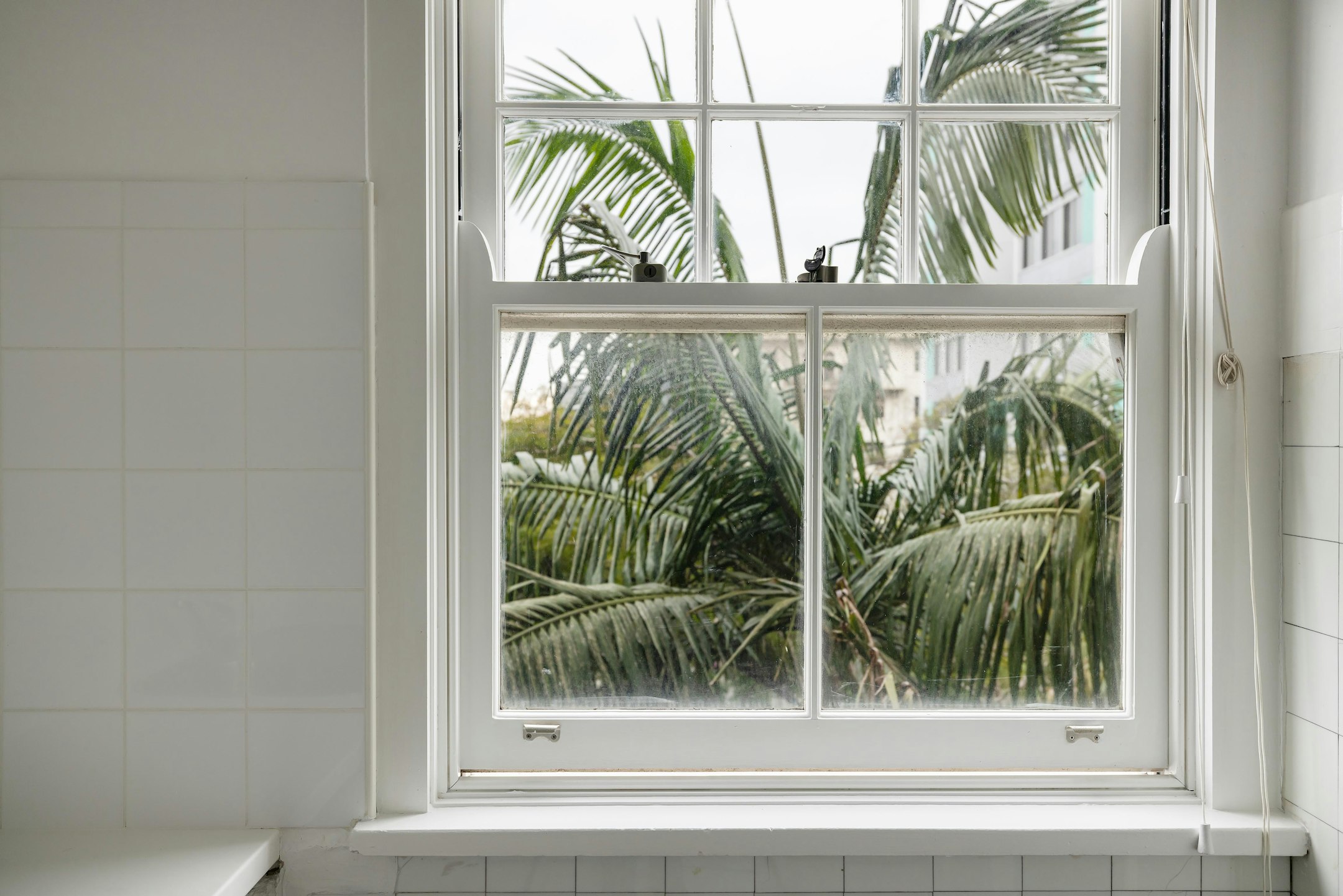 window