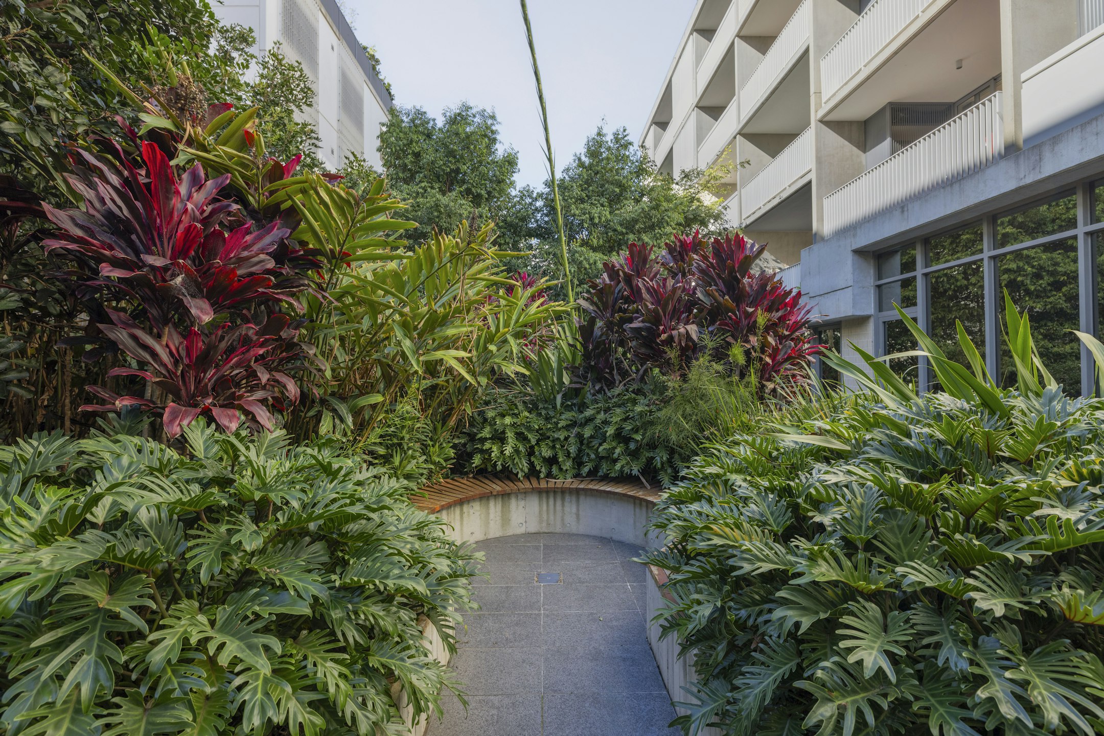 garden
