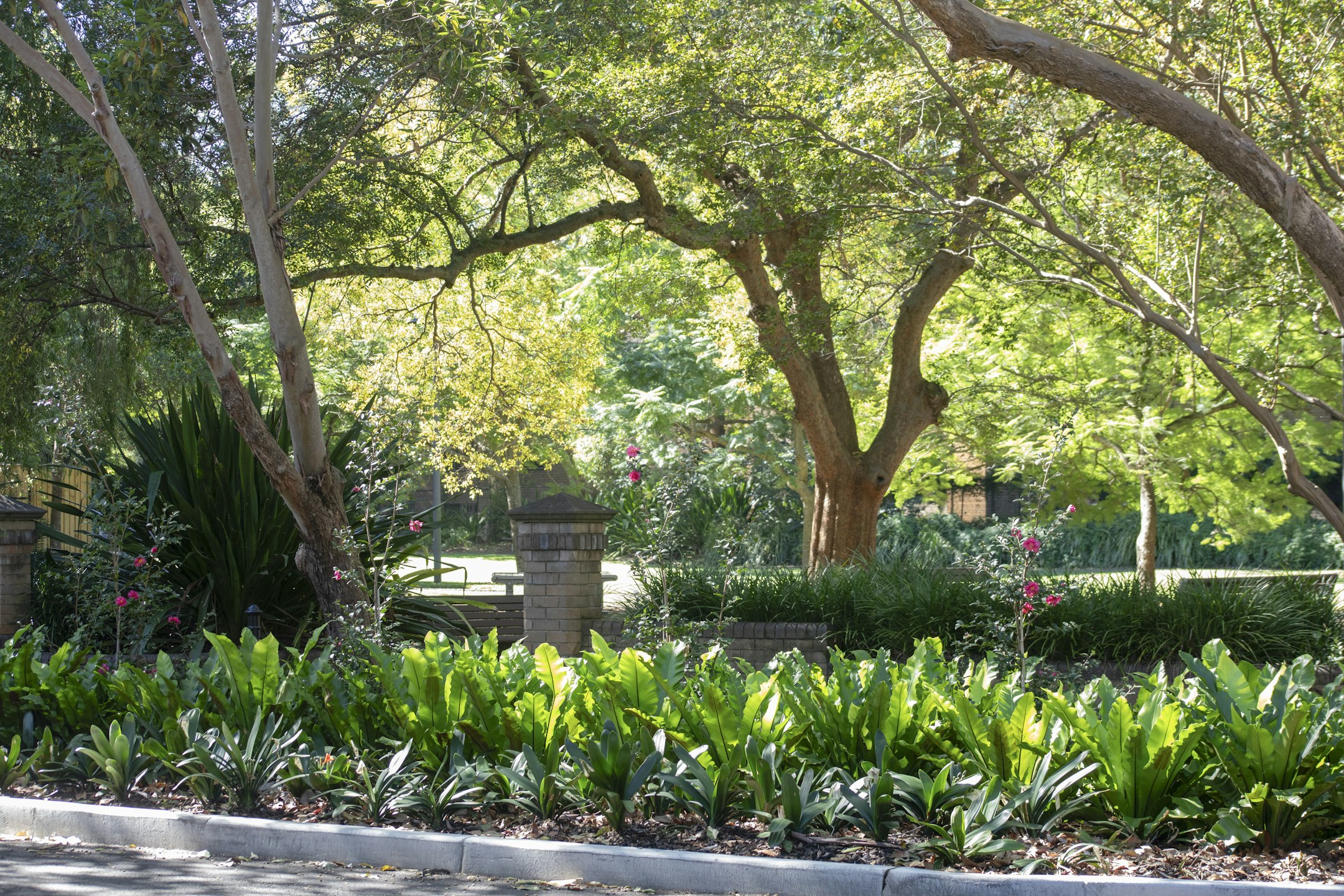 garden