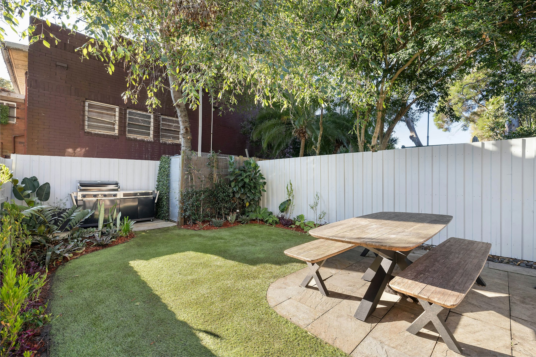 backyard