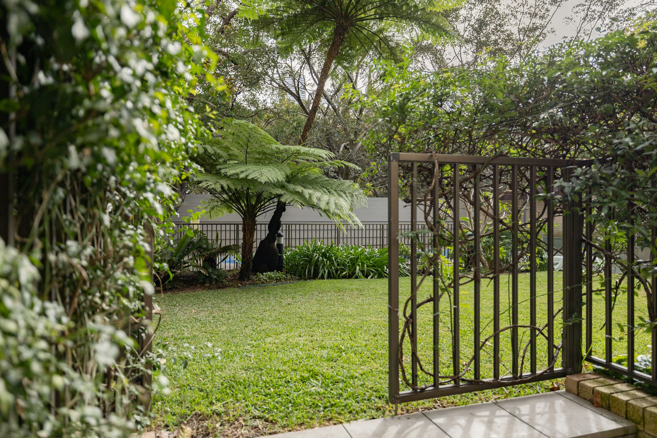 garden