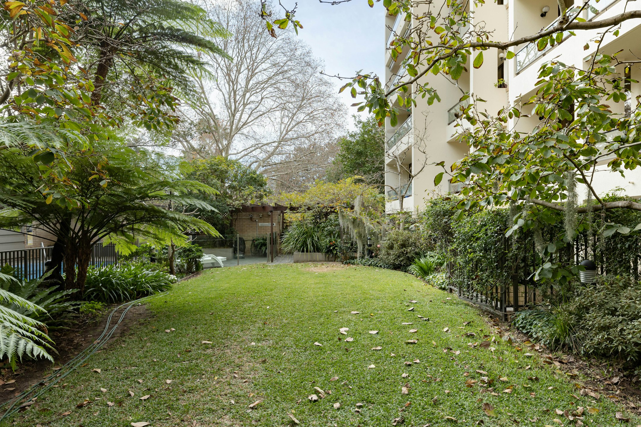 garden