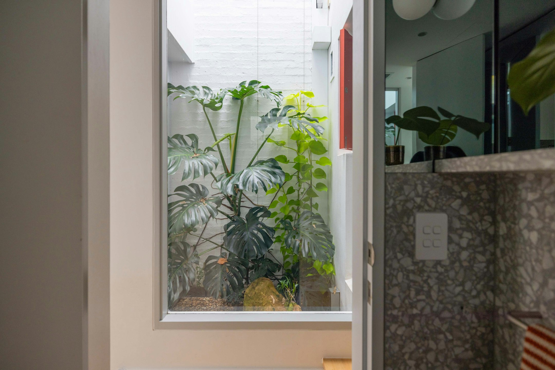 window