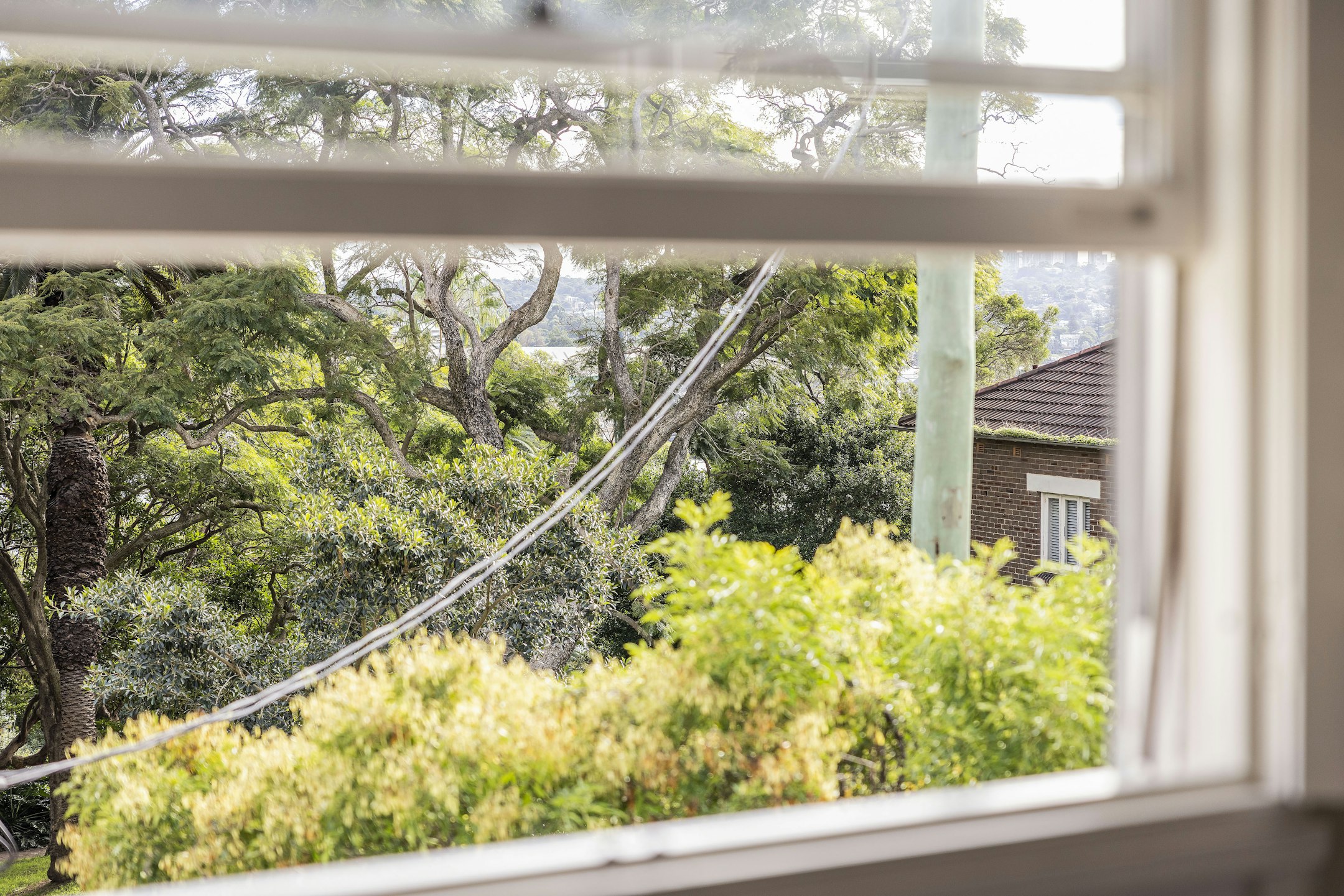 window