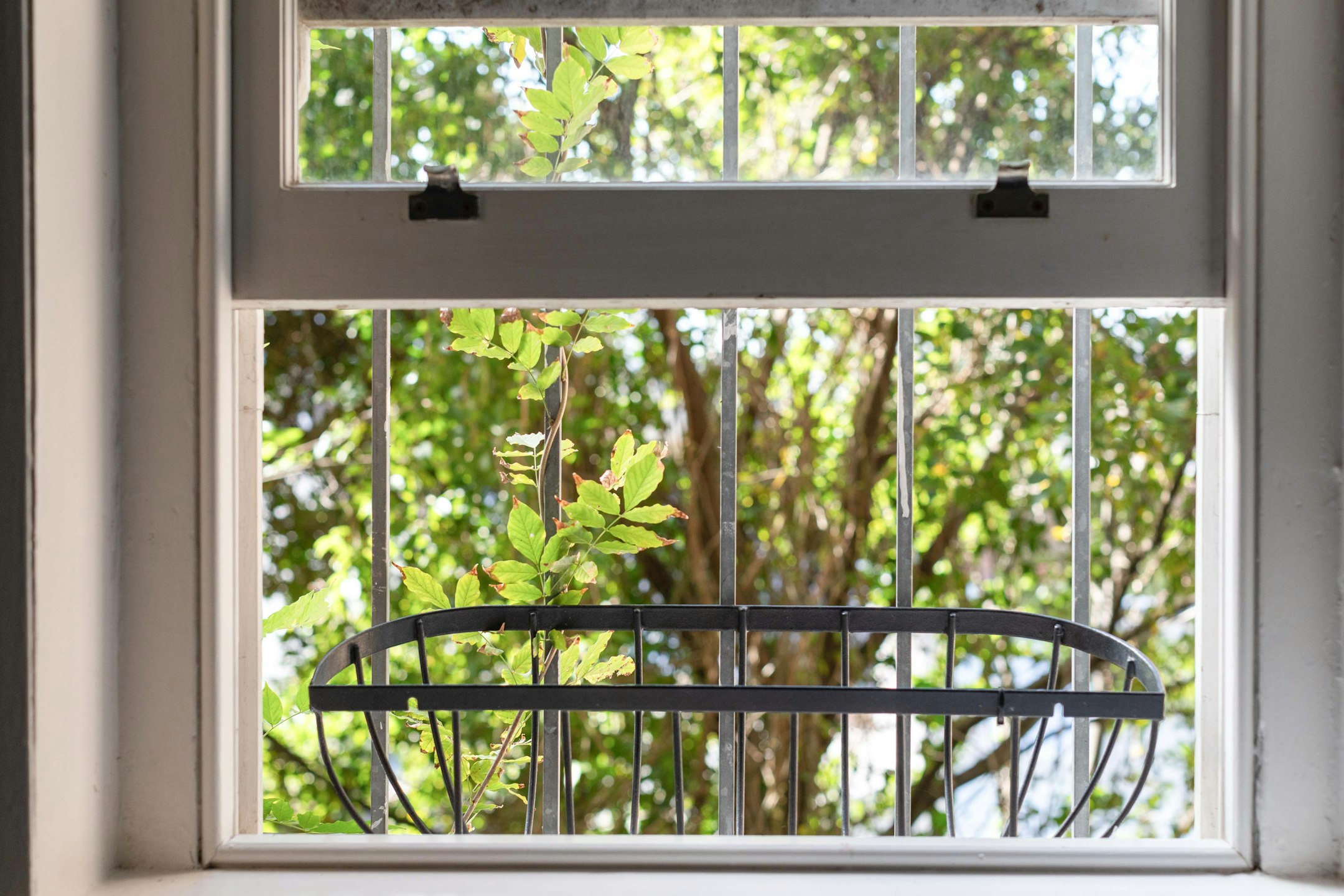 window