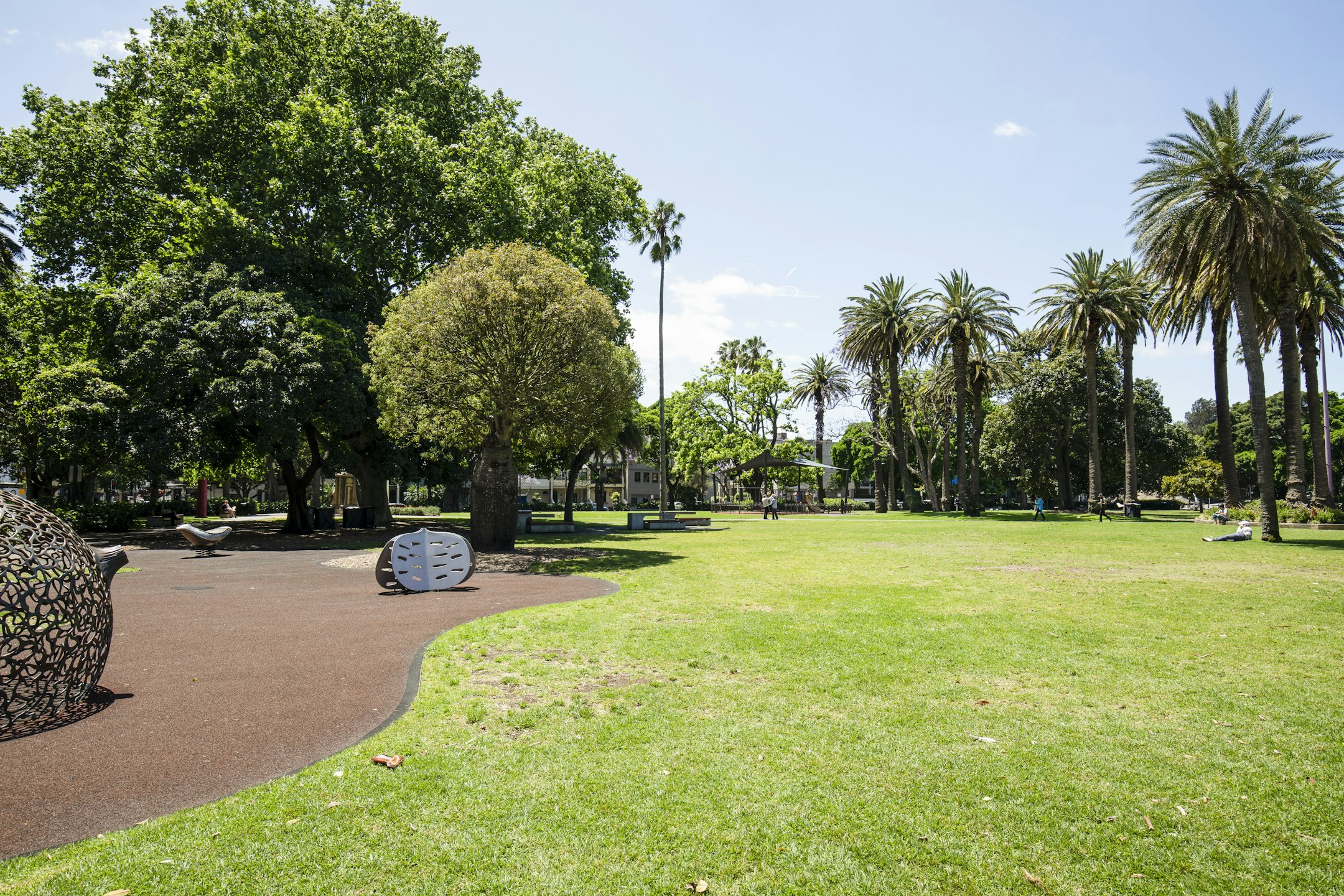 grass