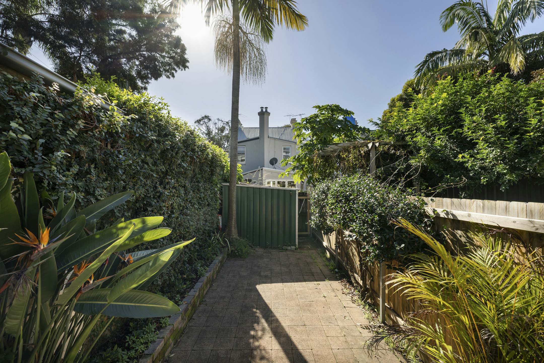 garden