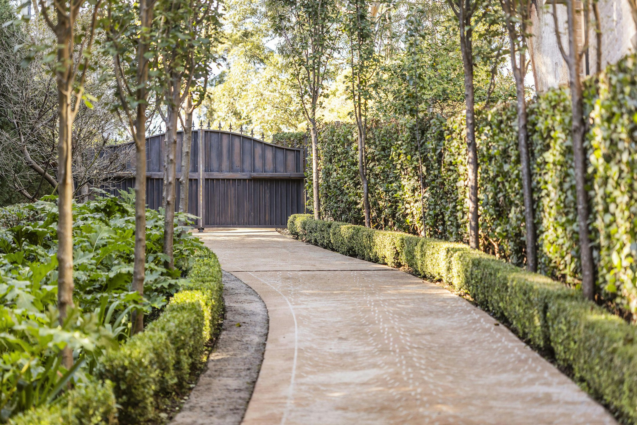 garden