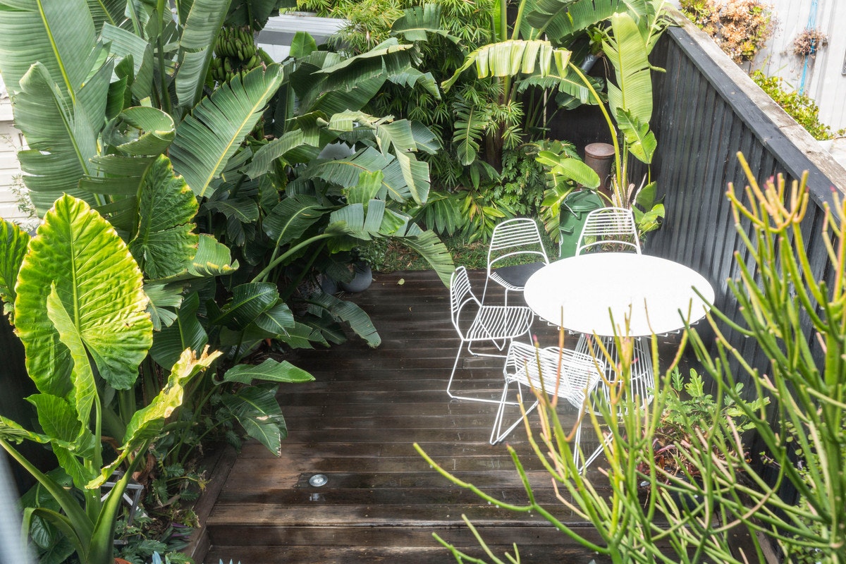 garden